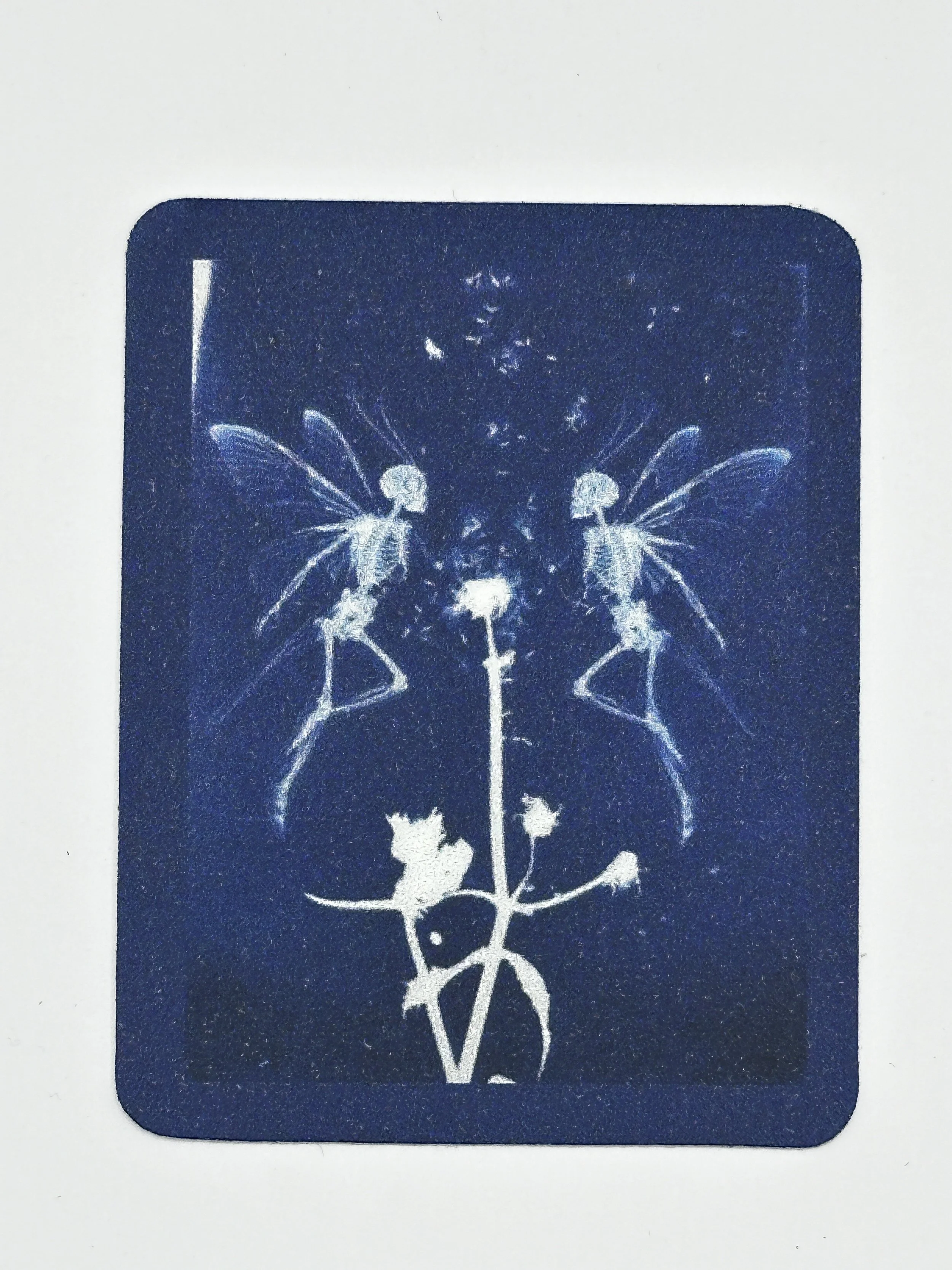 Cyanotype Sticker 2 Fairies