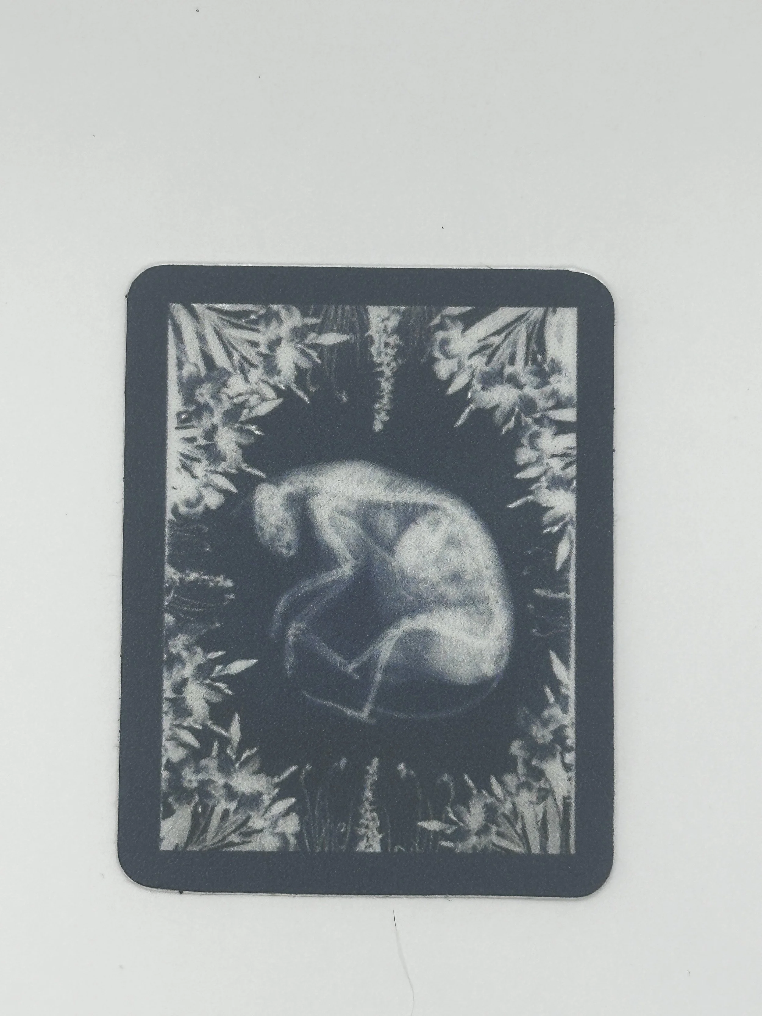 Cyanotype Sticker - Cat