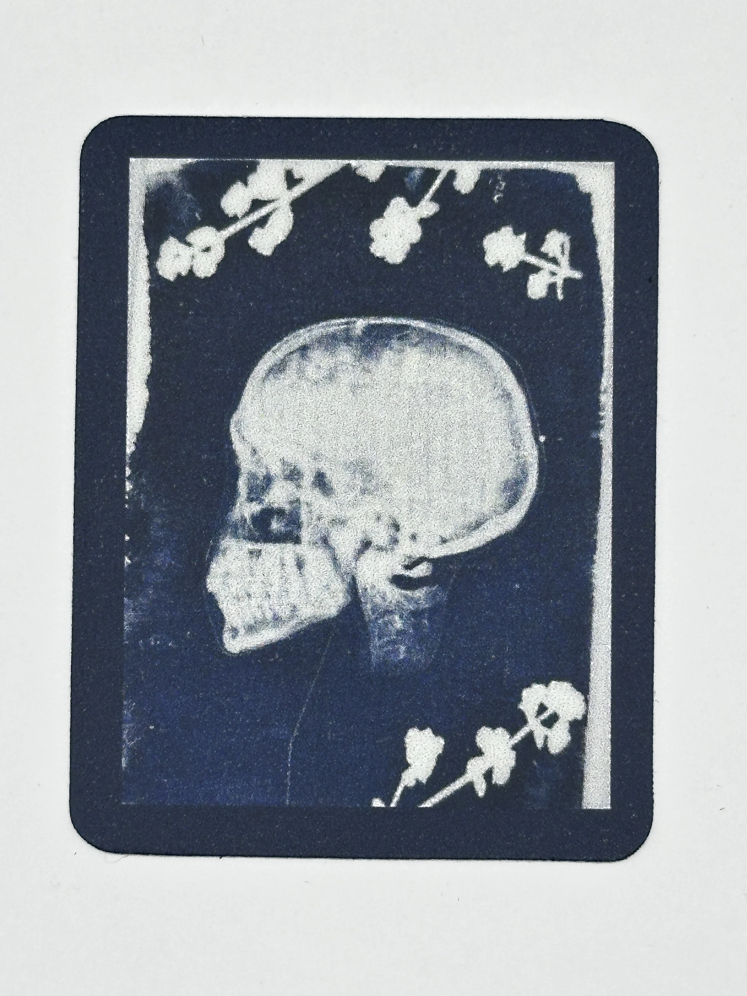 Cyanotype Sticker - Skull