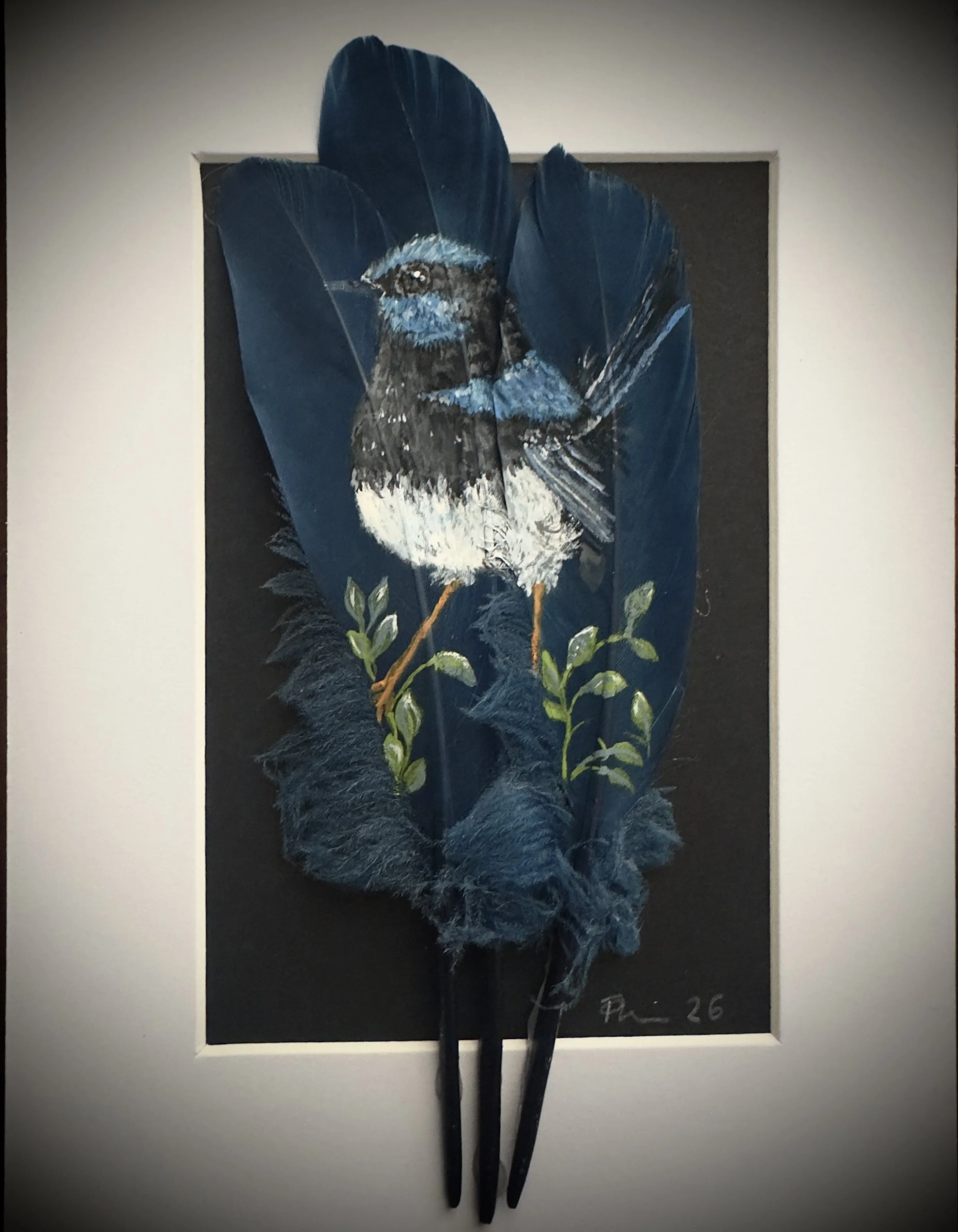 Superb Fairy Wren - Small Dyed Craft Feathers