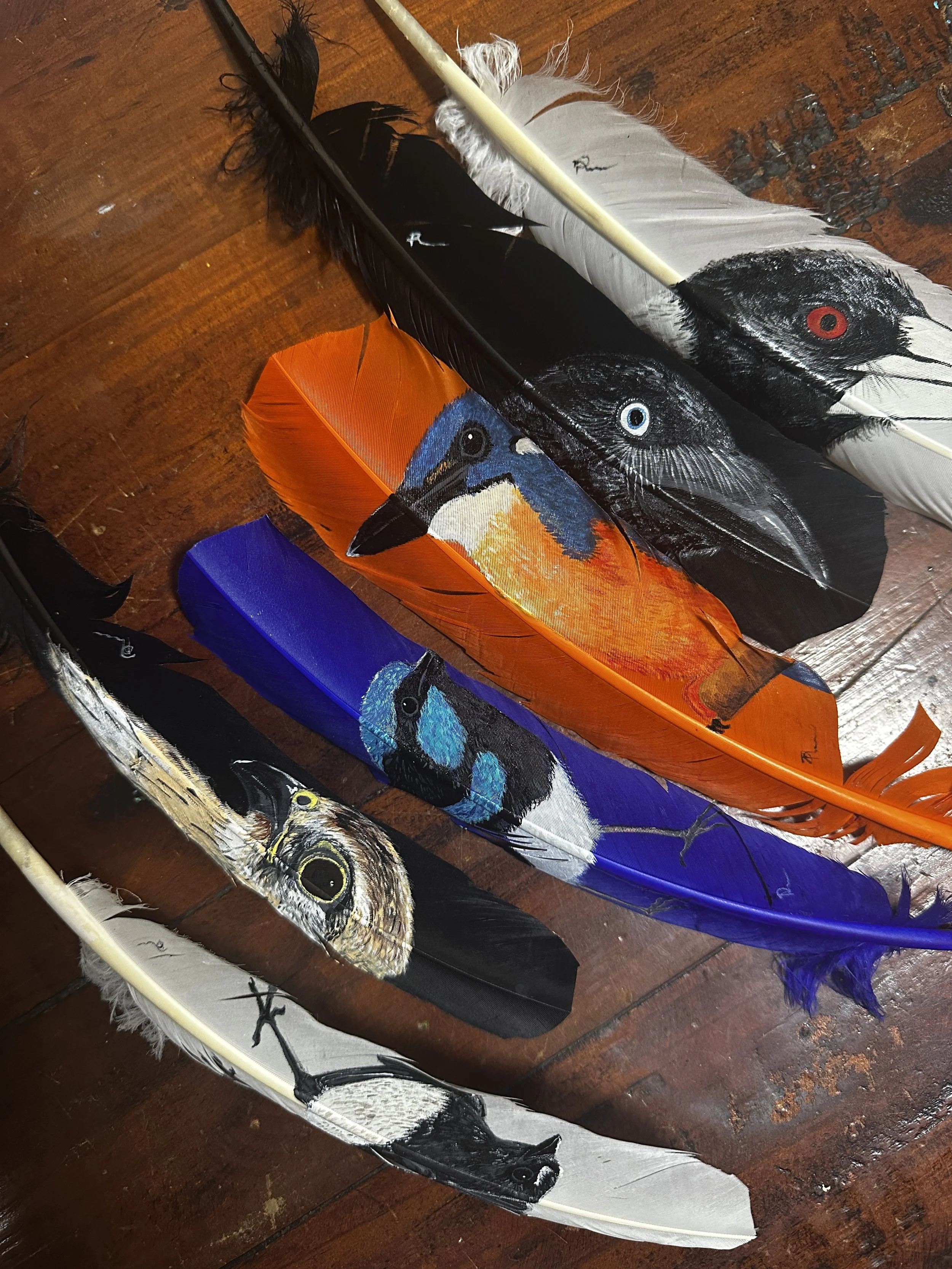 Single Unmounted Turkey Wing Feathers