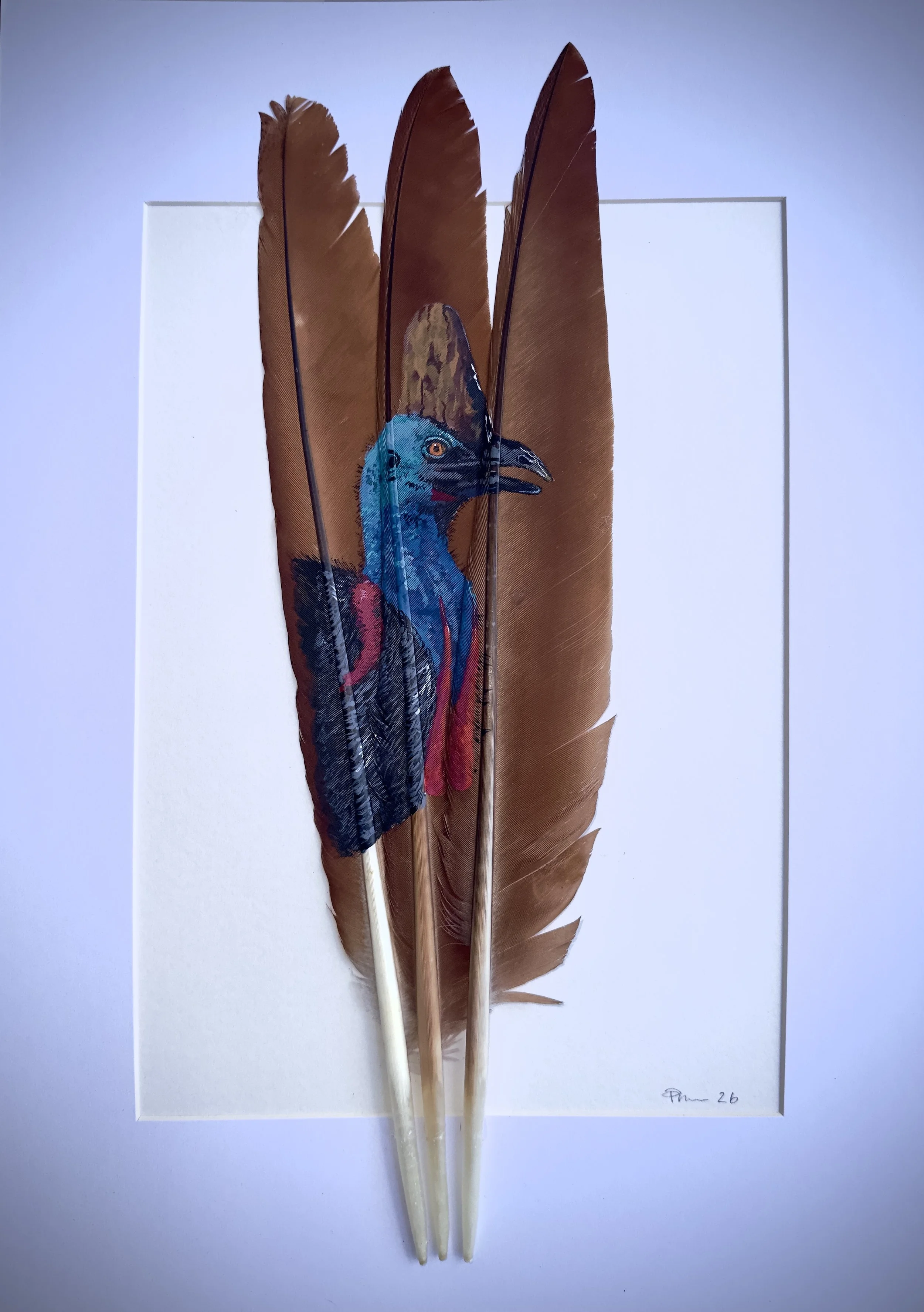 Cassowary