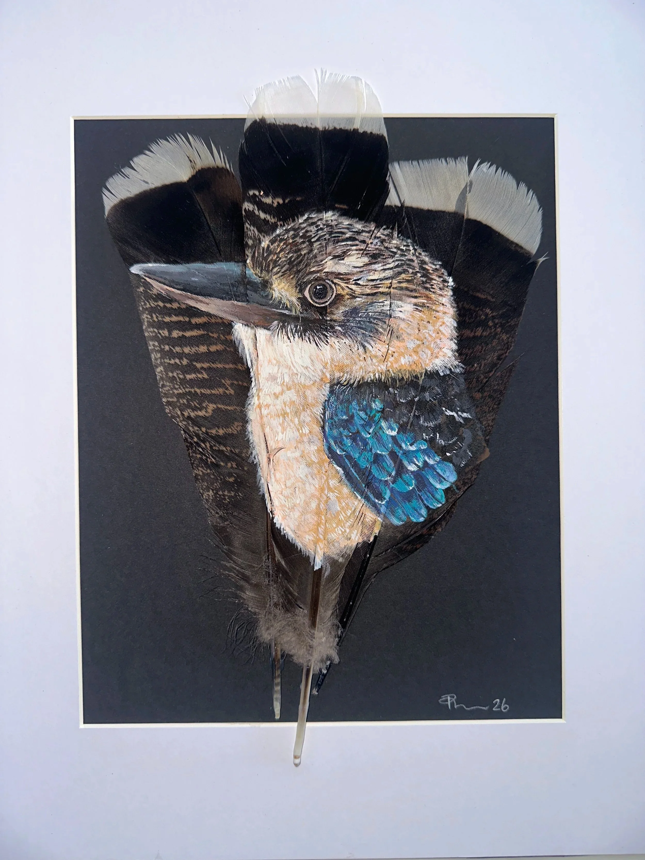 A picture of a Kookaburra handpainted onto three turkey tail feathers by the artist Phoebe Waldron. Known as Wing and Quill.