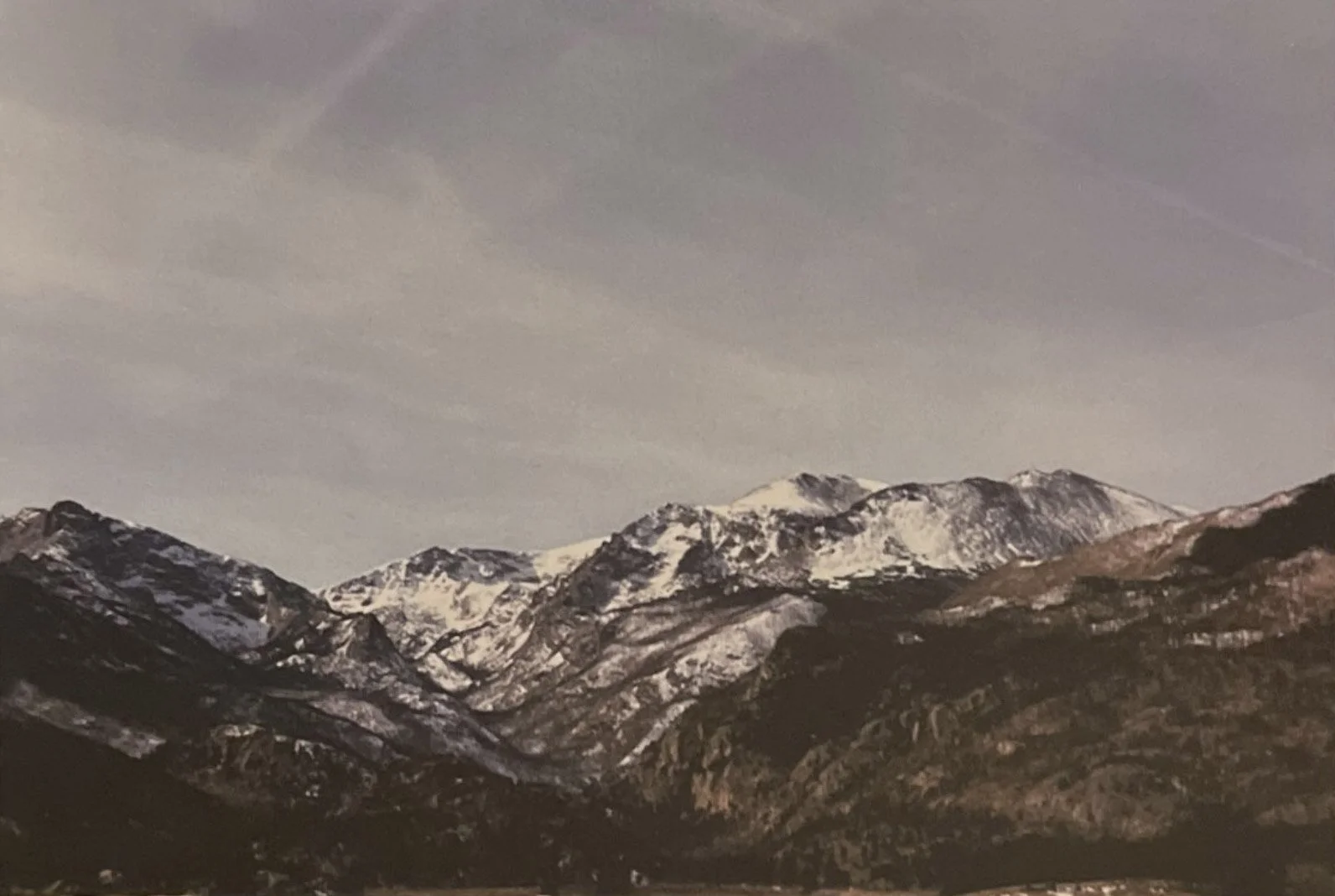 Screen Shot 2022-12-06 at 2 copy.jpg