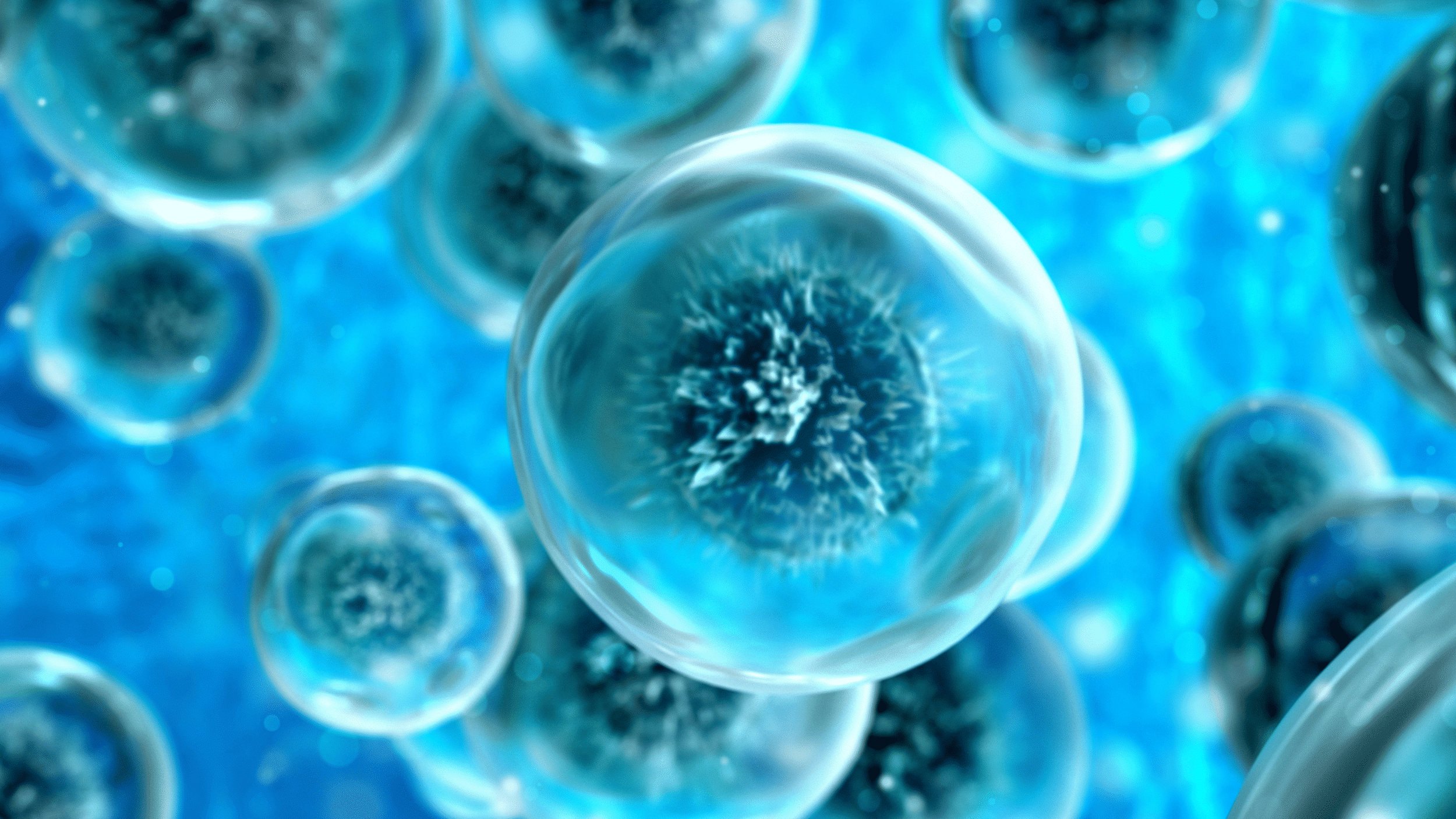 New study identifies Charlotte Region’s competitive advantages in life sciences