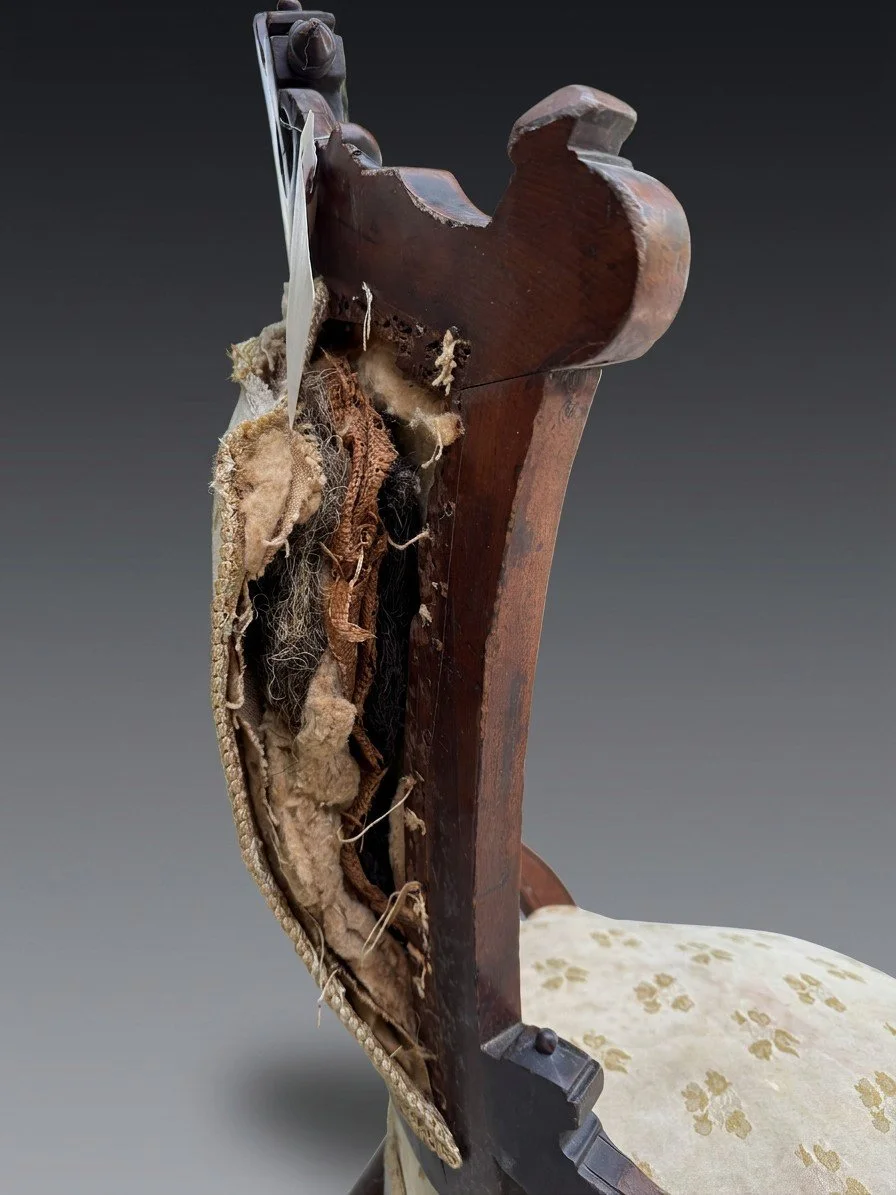 The seat back of a walnut parlor chair opened before restoration, showing the original horsehair and cotton foundation over webbing