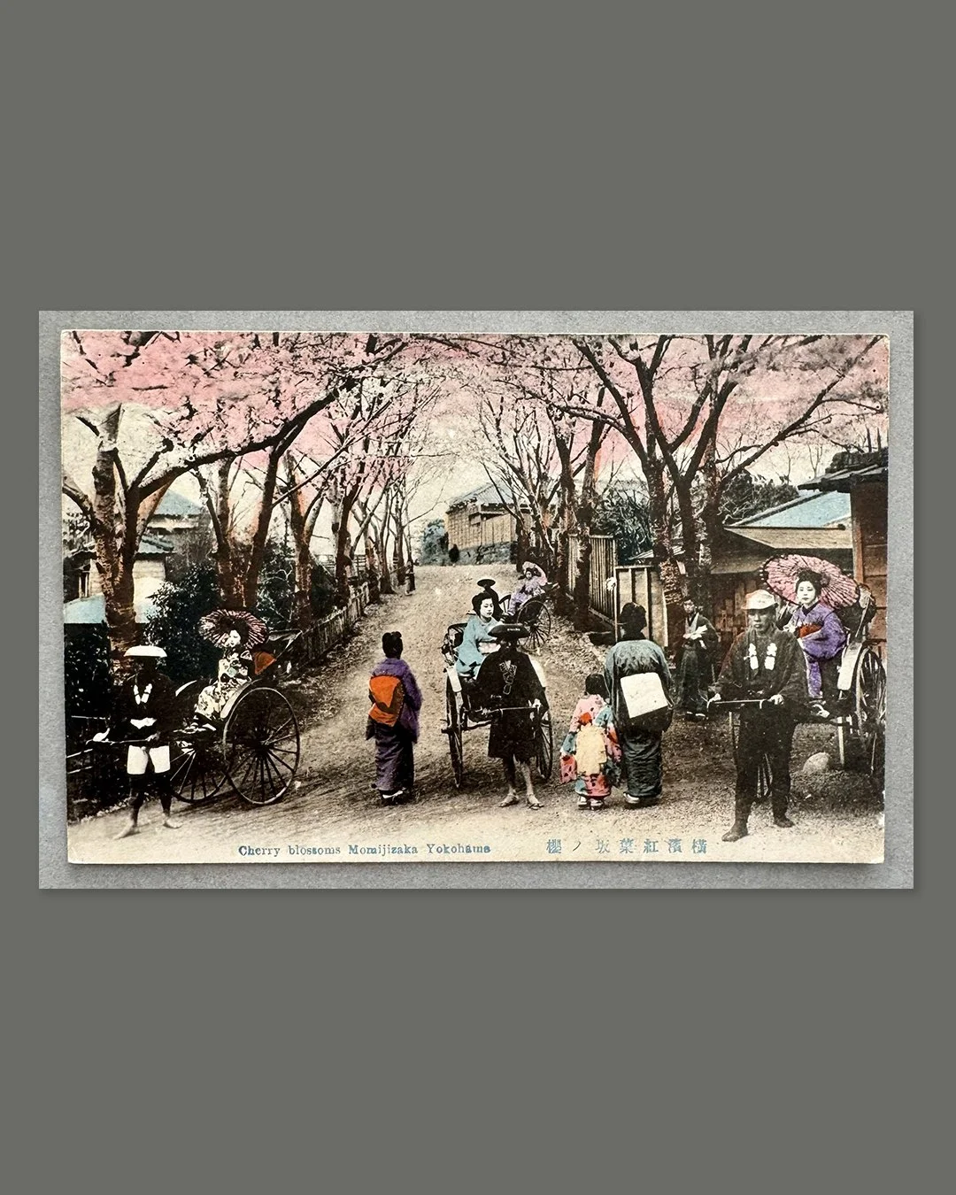 acanthus-home-yokohama-momijizaka-cherry-blossom-hand-tinted-postcard