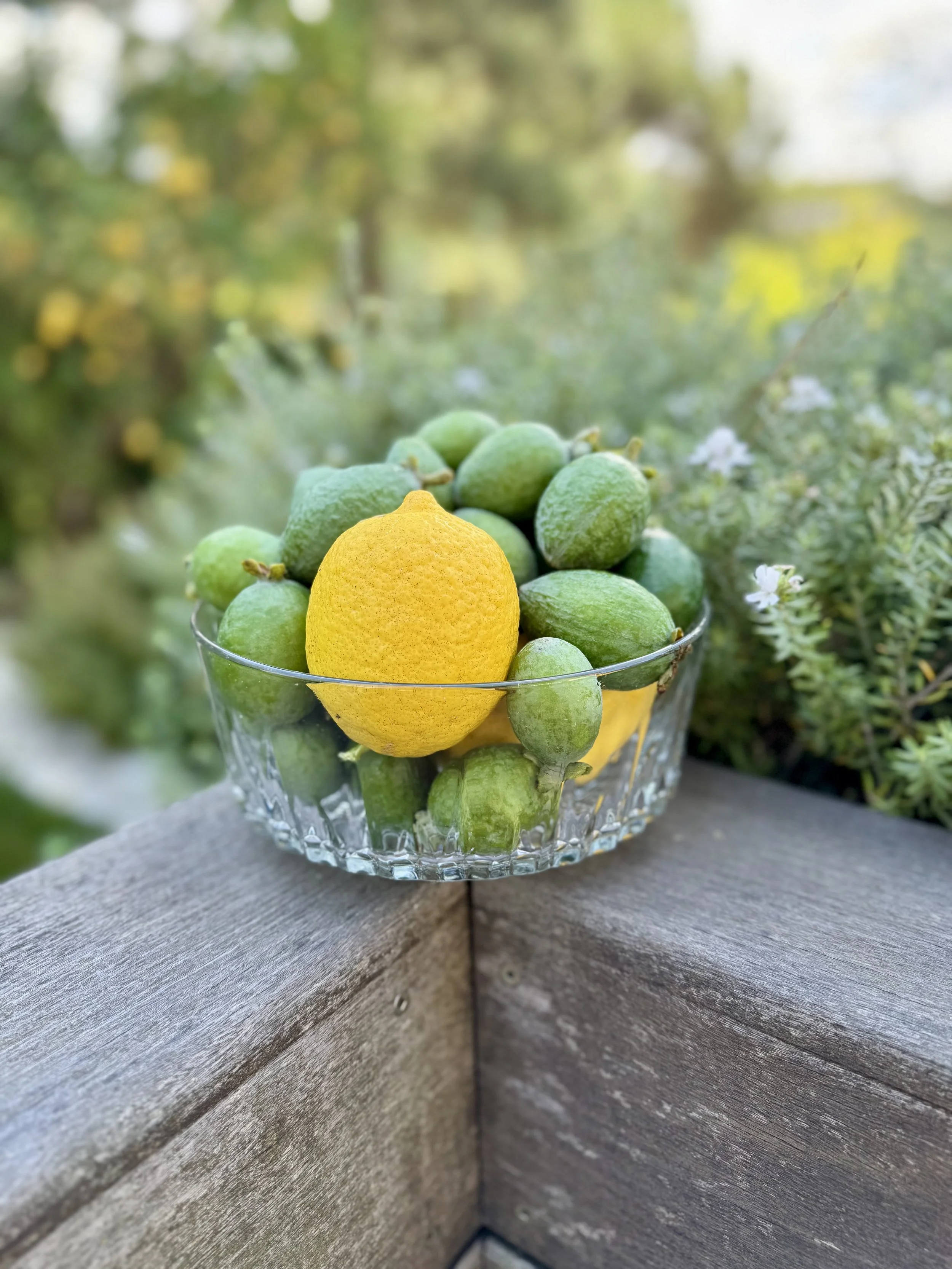 An Arcoroc pressed-glass bowl patterned with sharp diamond points, filled with yellow garden lemons and green feijoas, on a weathered outdoor rail