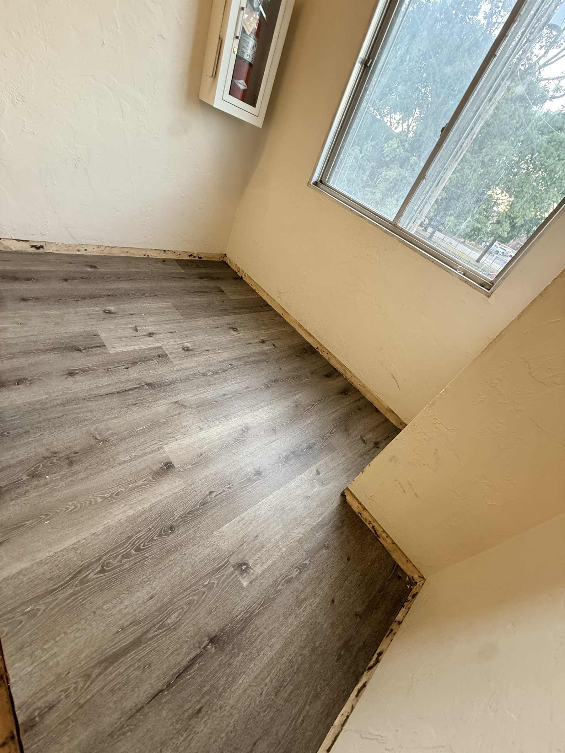 LVP flooring in sunlit apartment room