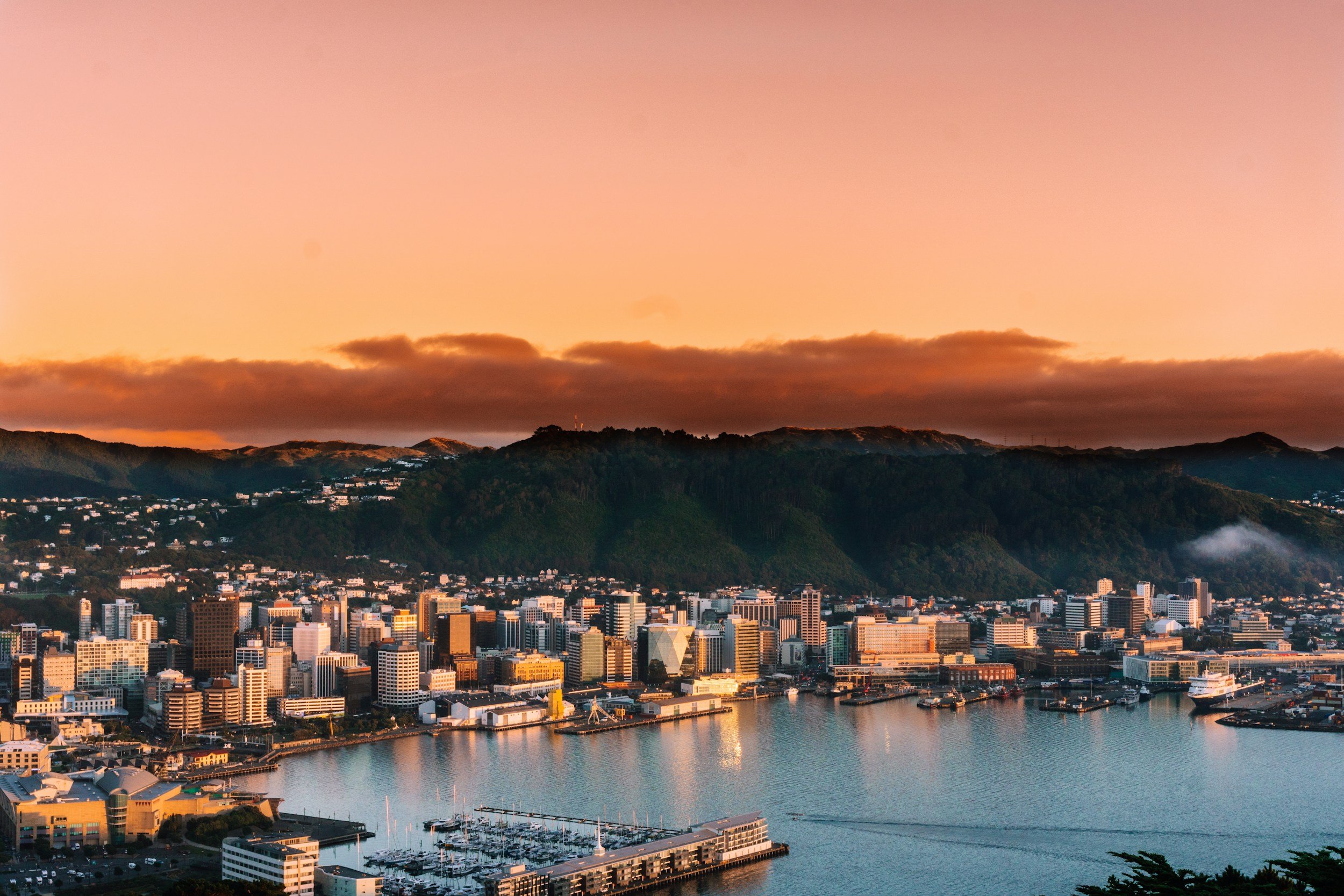Who Wants What? NZ's 2026 Election Immigration Policies, Party by Party