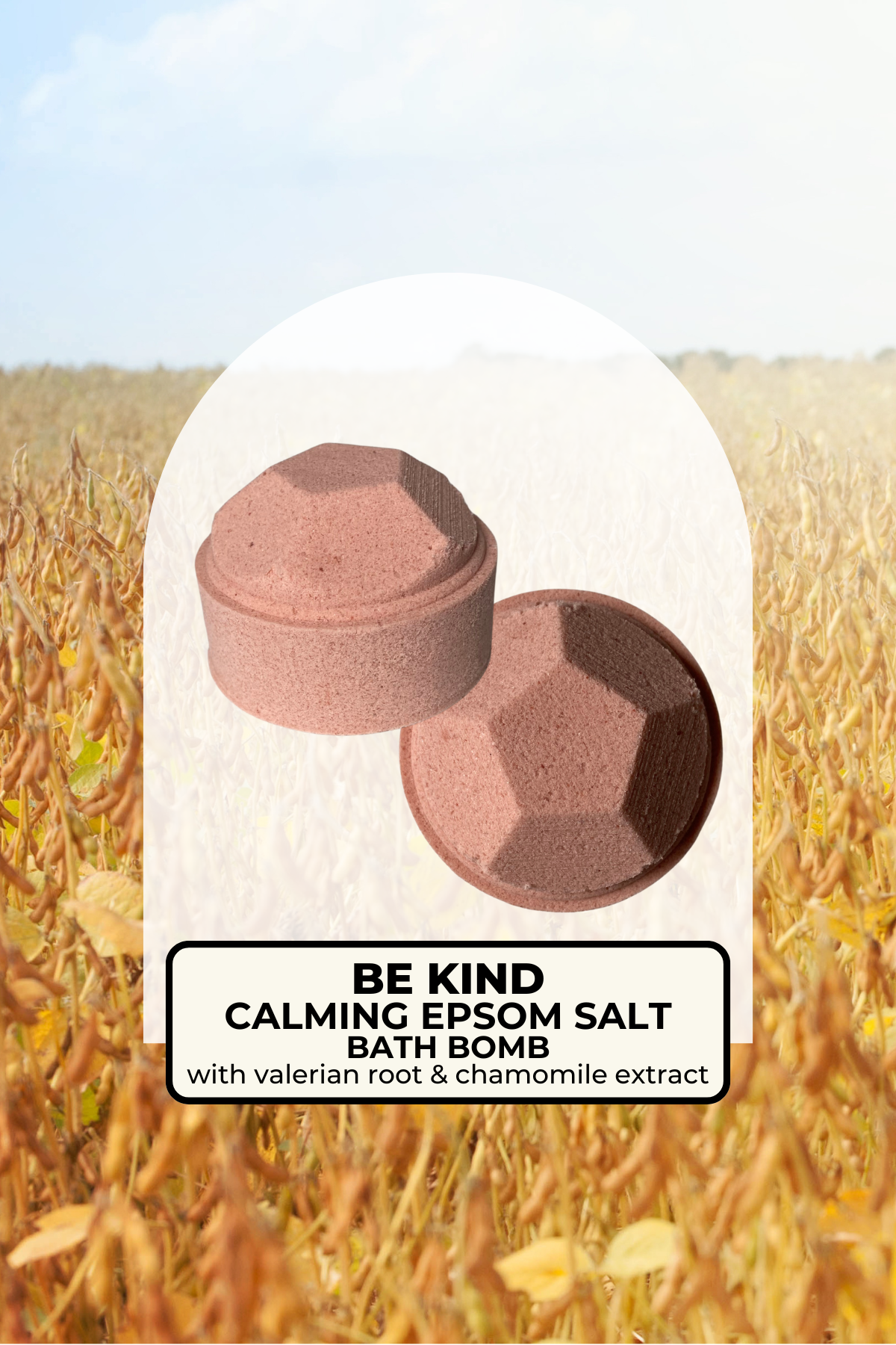 be kind bomb 1.png