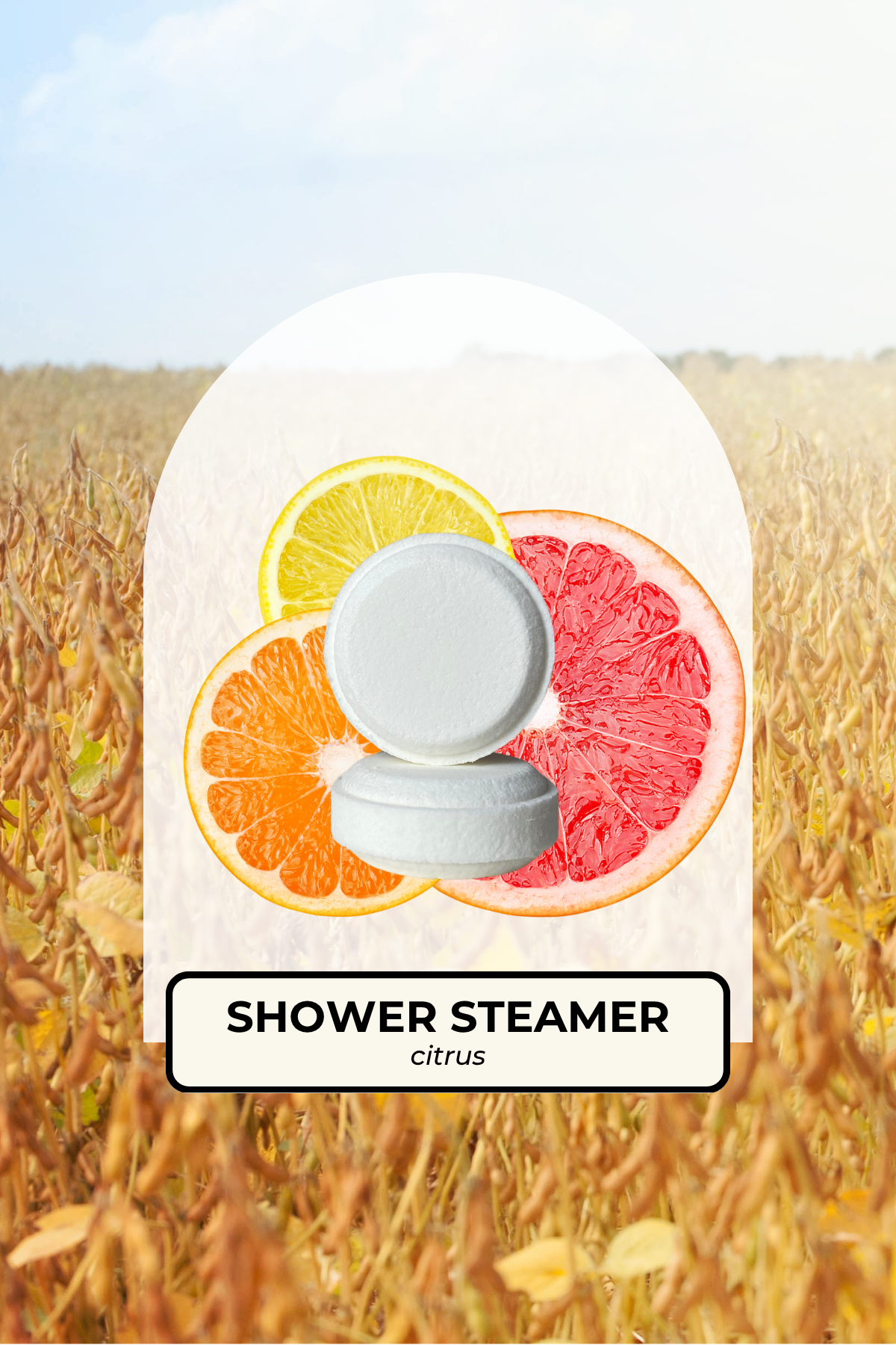 Citrus steamer.png
