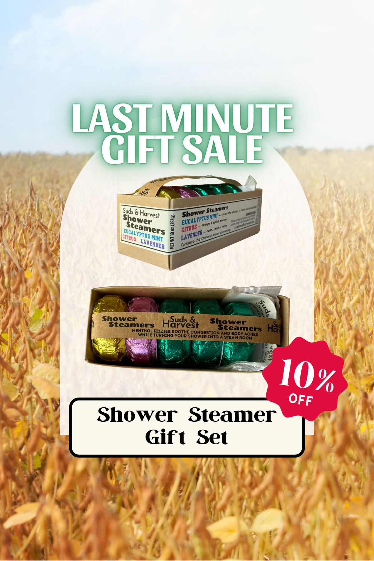 Shower Steamer Gift Set
