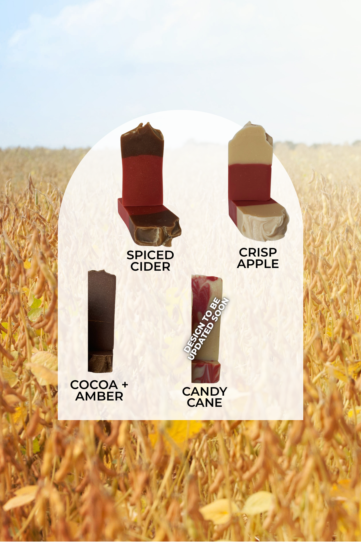 seasonal samples 2.png