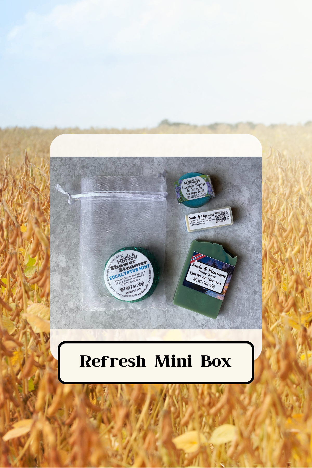 Refresh Mini Box (1).png
