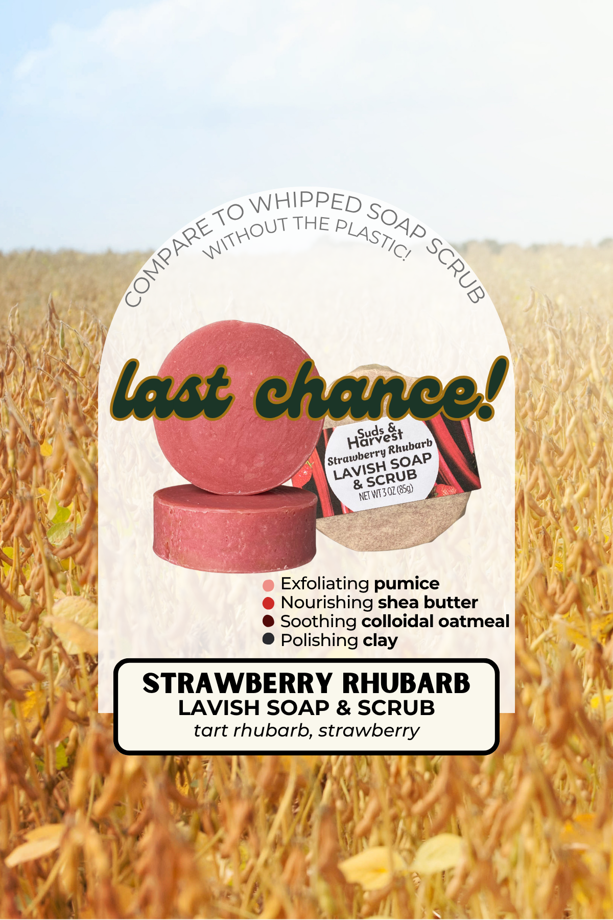 Strawberry Rhubarb Lavish Soap & Scrub