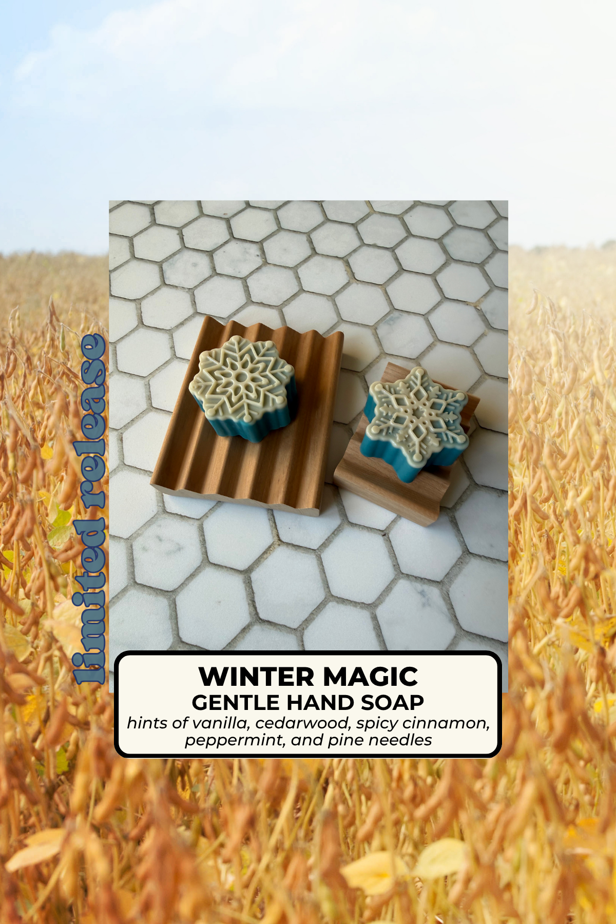 Winter Magic Gentle Hand Soap