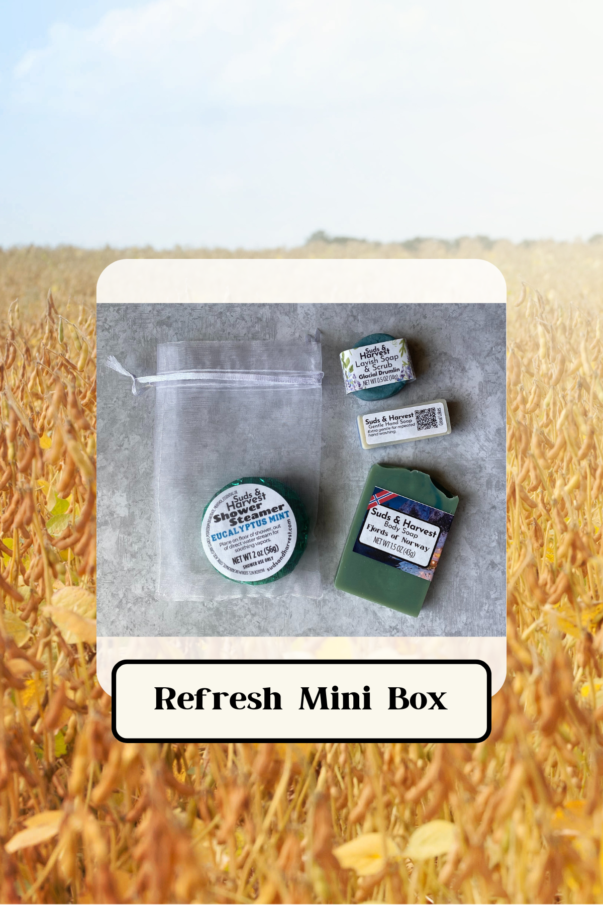 Refresh Mini Box .png