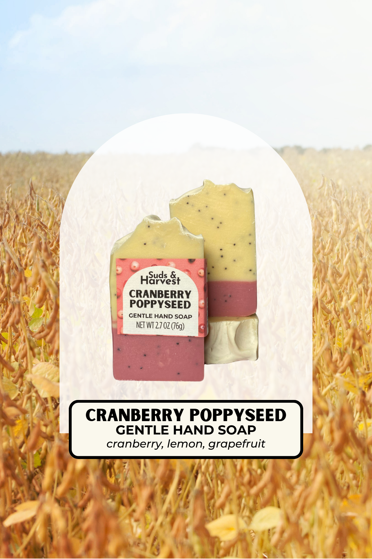 Cranberry Poppyseed Gentle Hand Soap