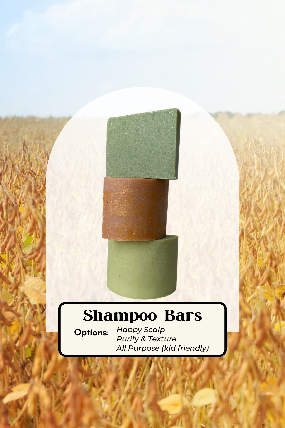 All shampoo.png