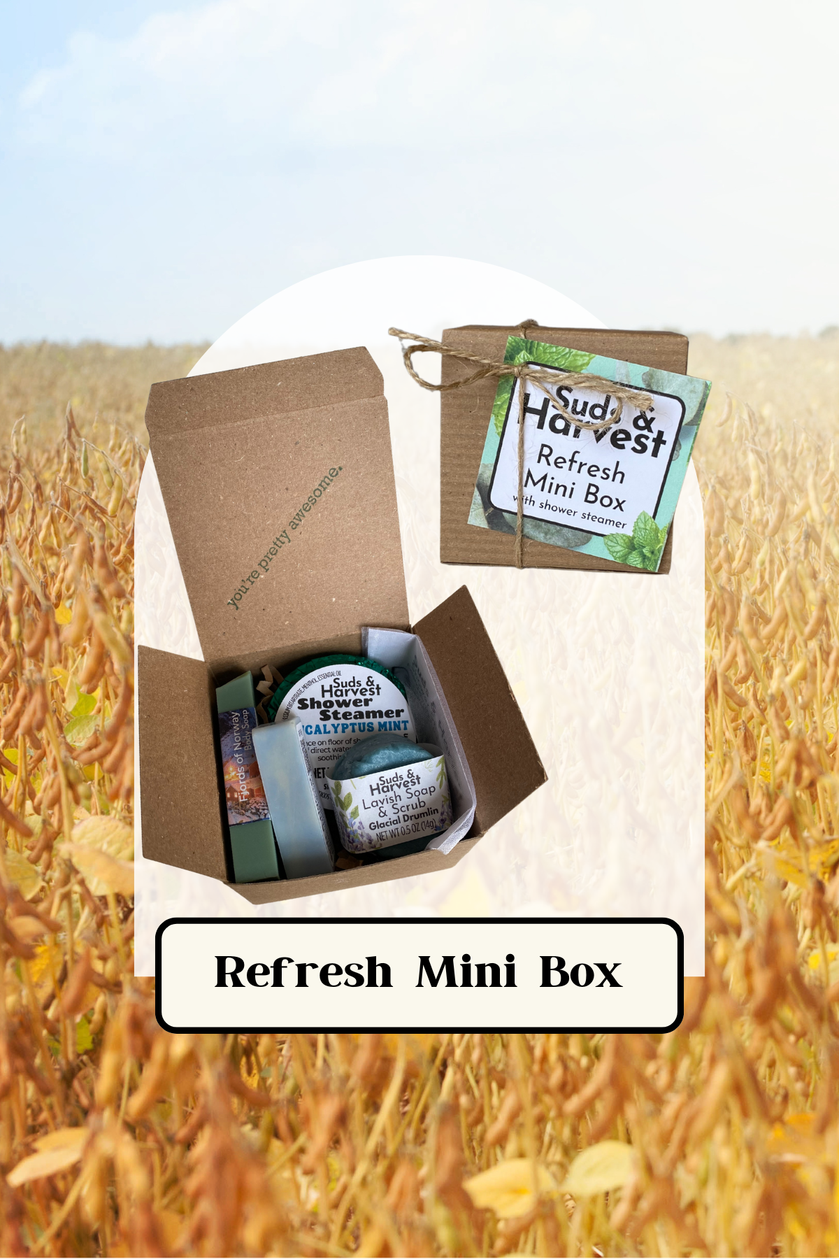 Refresh Mini Box