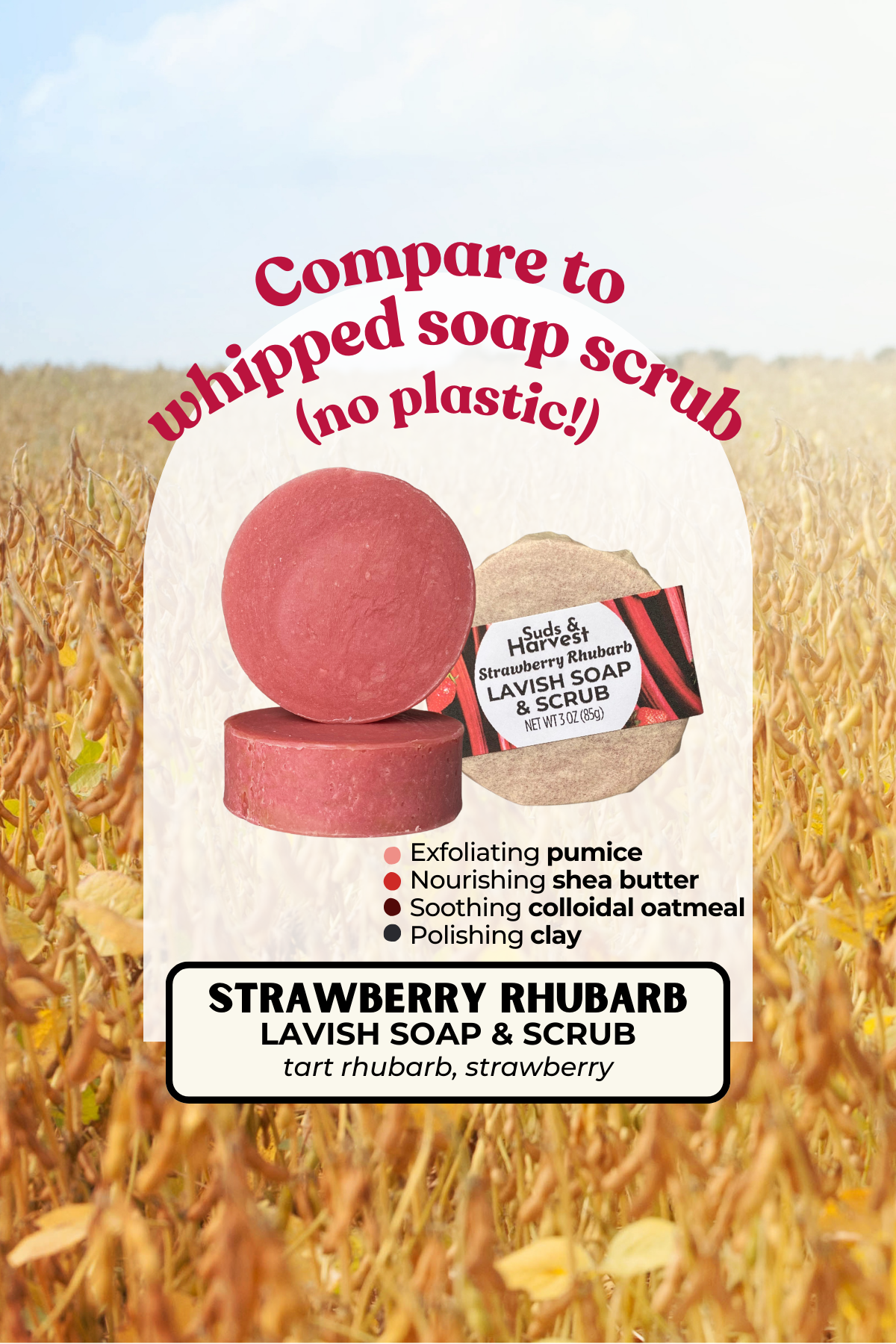 Strawberry Rhubarb Scrub.png