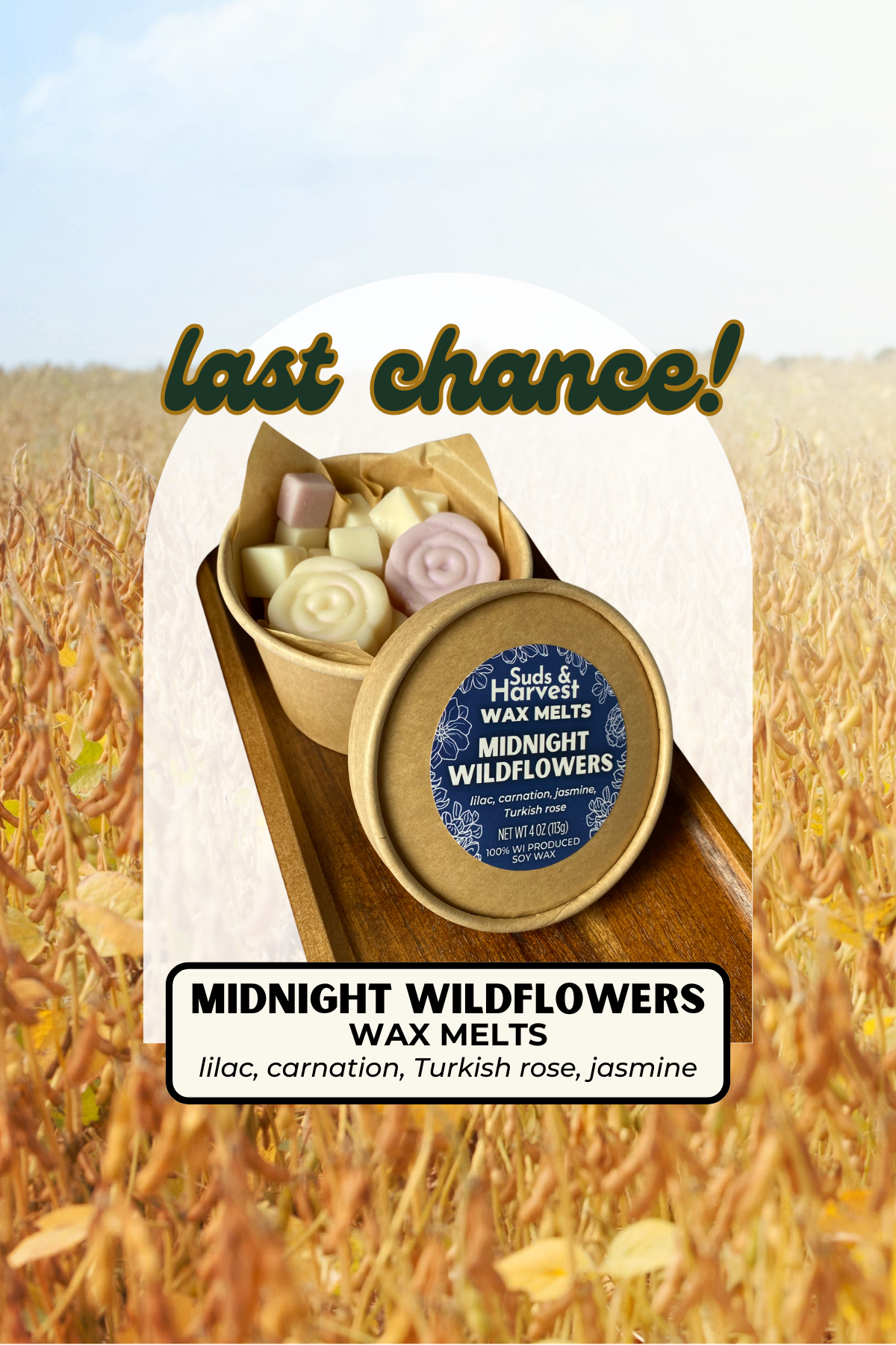 Midnight Wildflowers Wax Melts