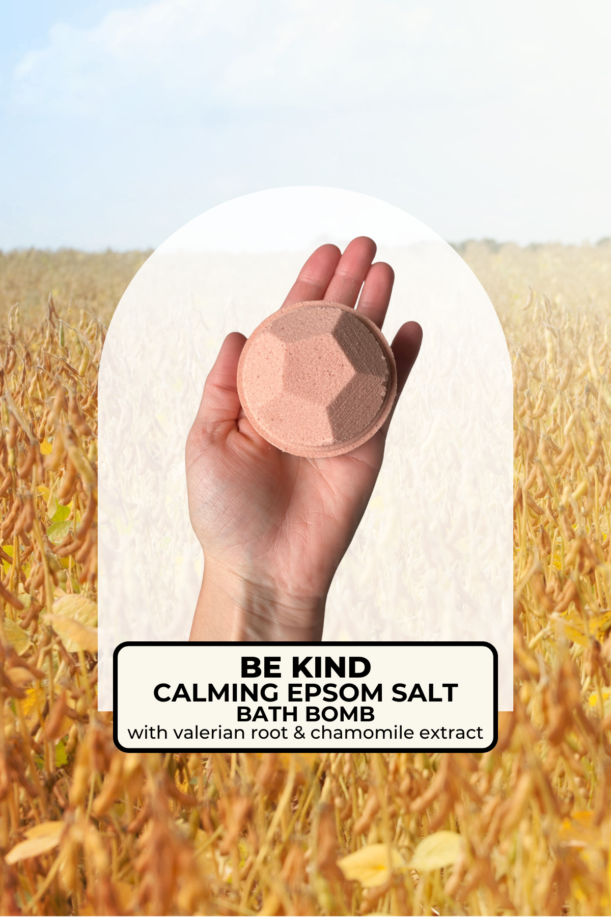 be kind bomb 2.png