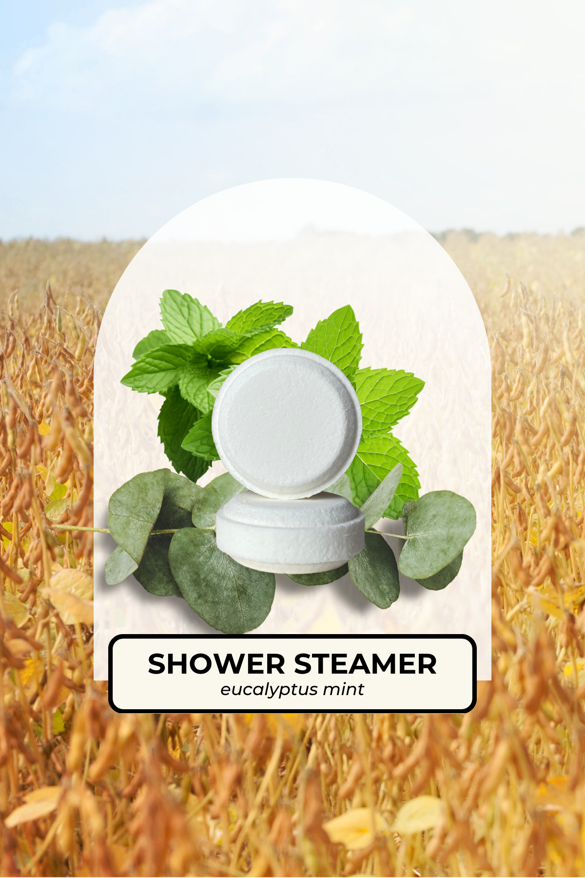 Eucalyptus Mint steamer.png