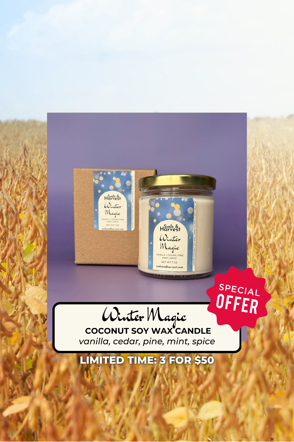 winter magic candle.png
