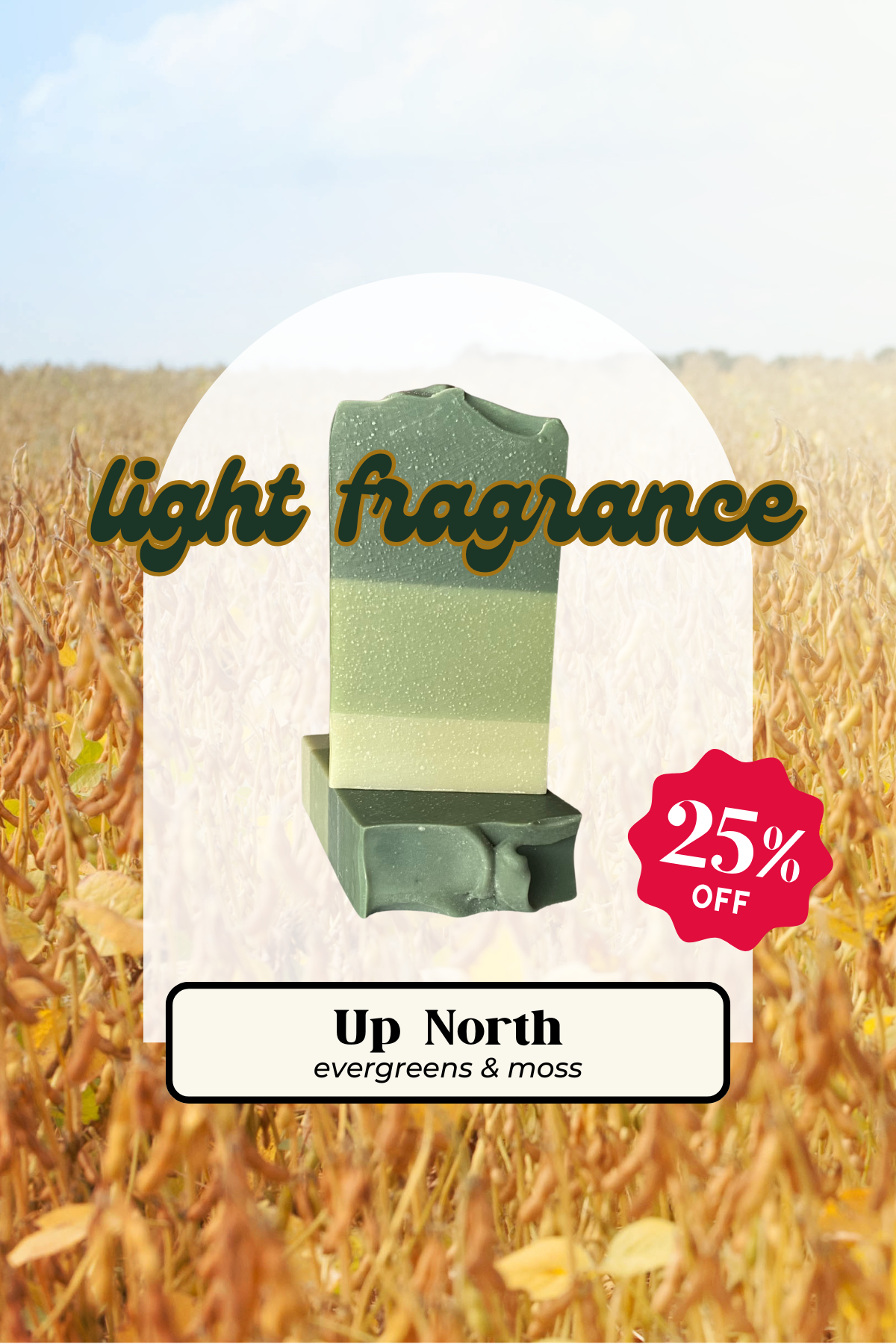Up North light 25.png