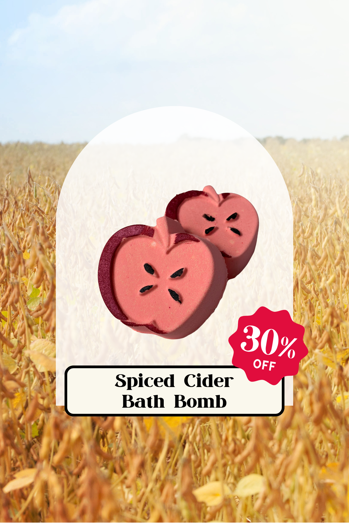 Spiced Cider Bath Bomb