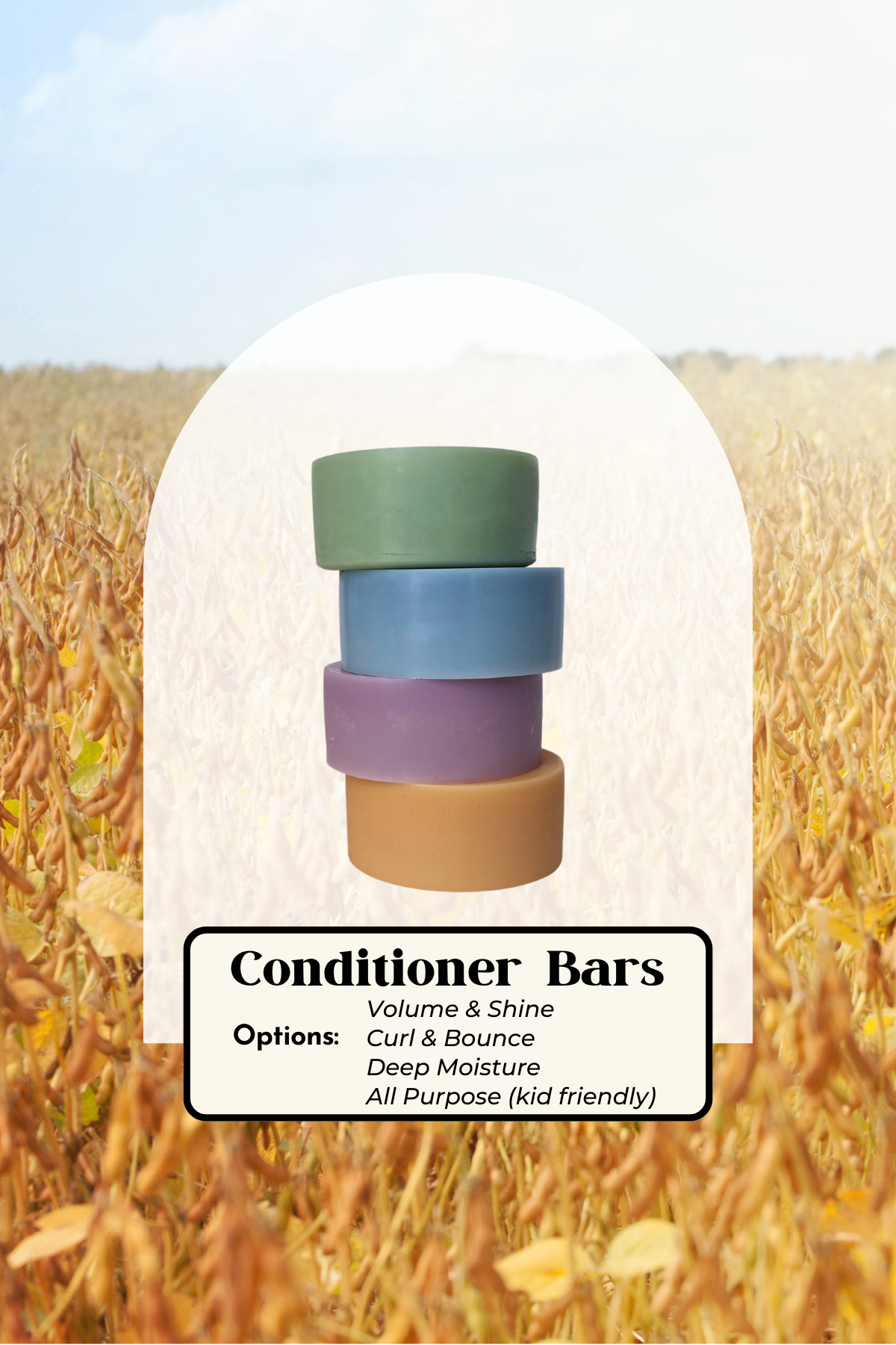 All Conditioner.png