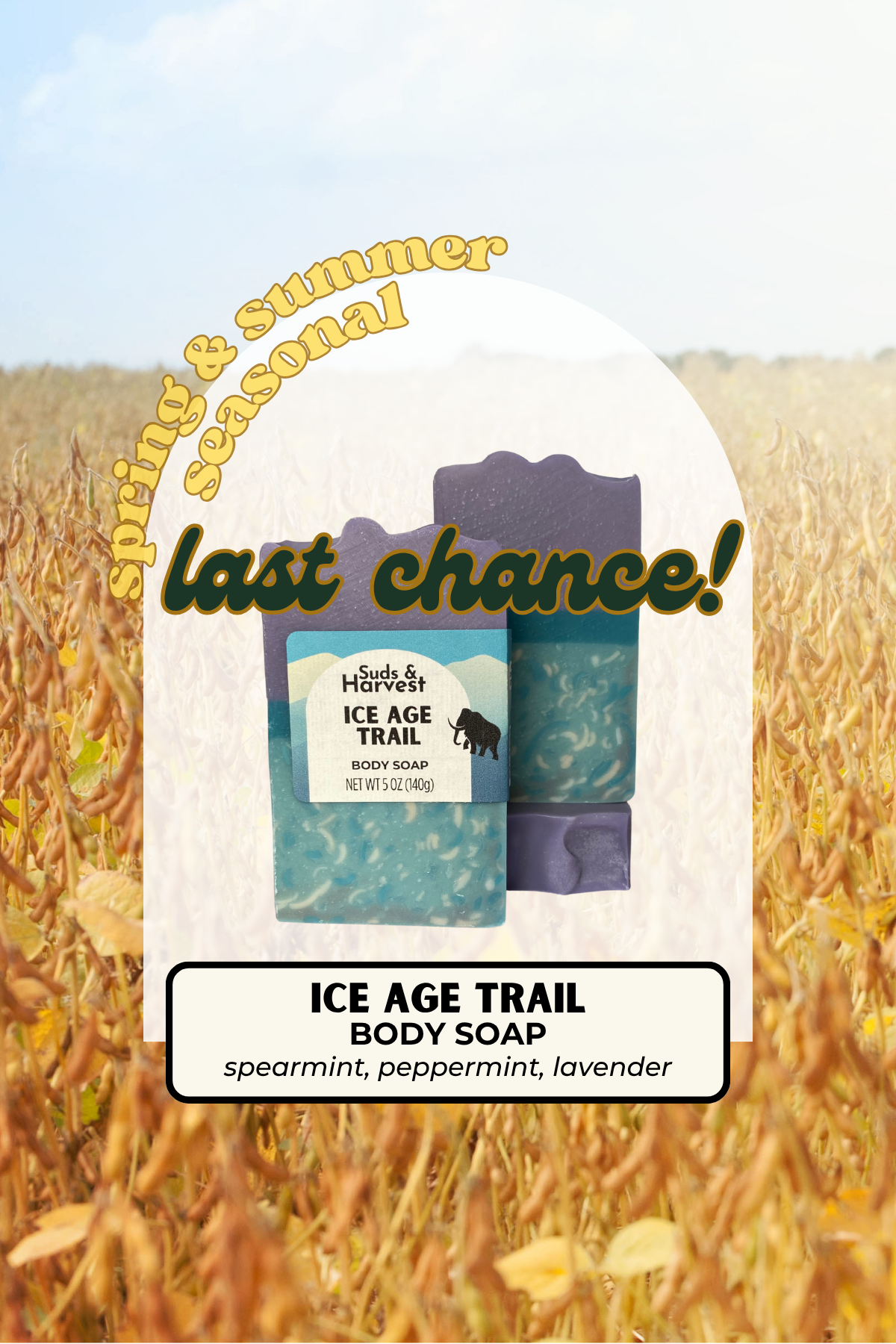 Ice Age Trail Body Soap