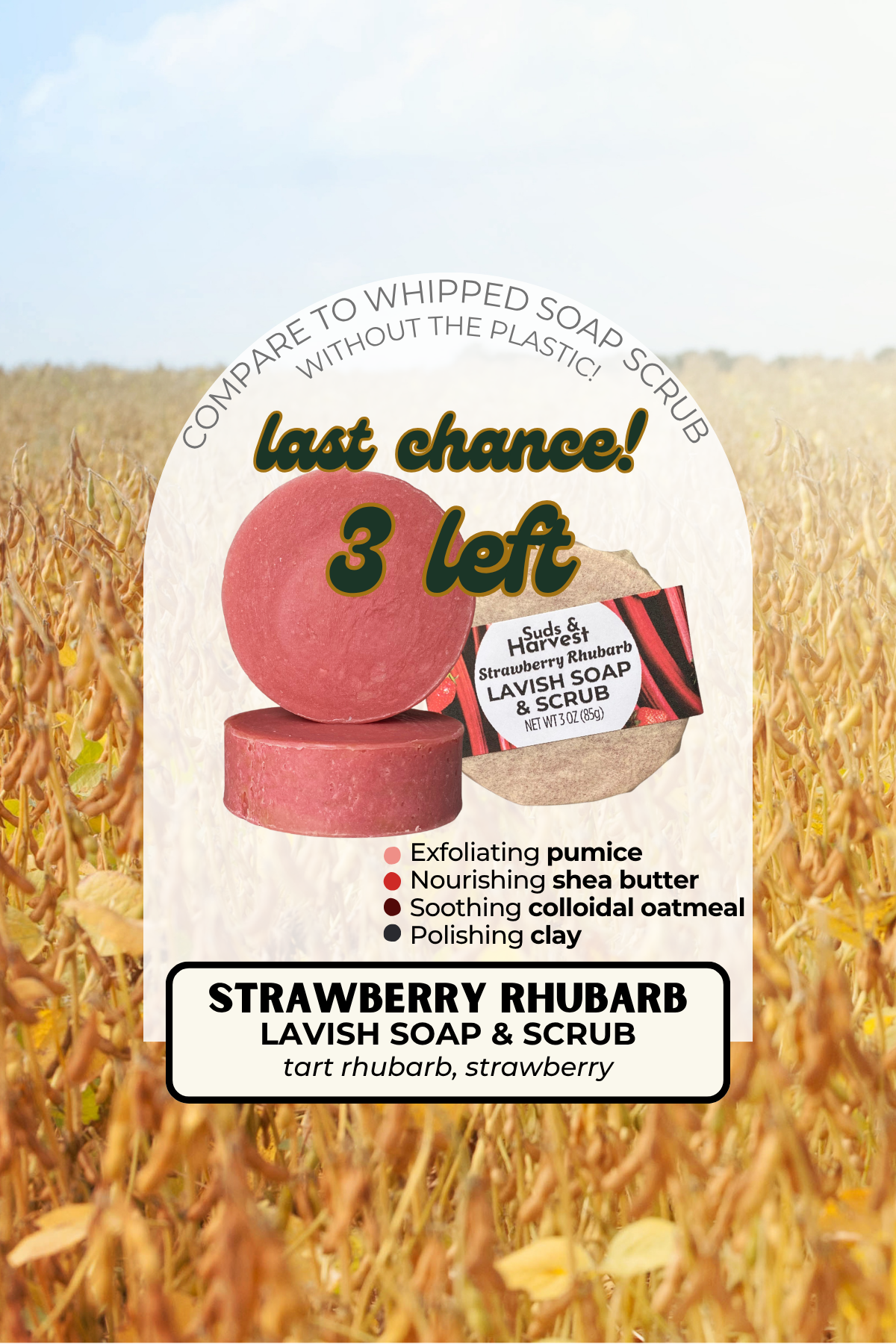 Strawberry Rhubarb Lavish Soap & Scrub
