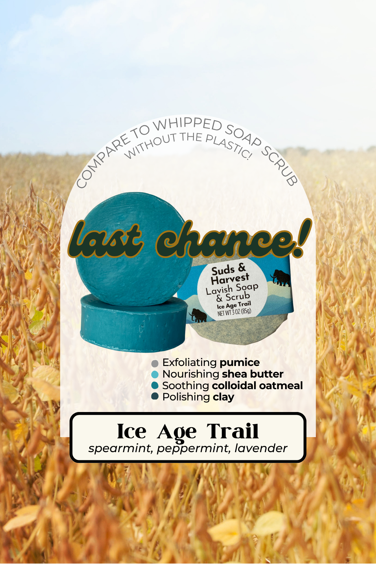 Ice Age Trail Lavish Soap & Scrub