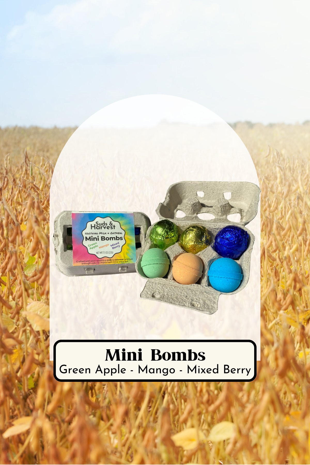 Mini Bath Bombs