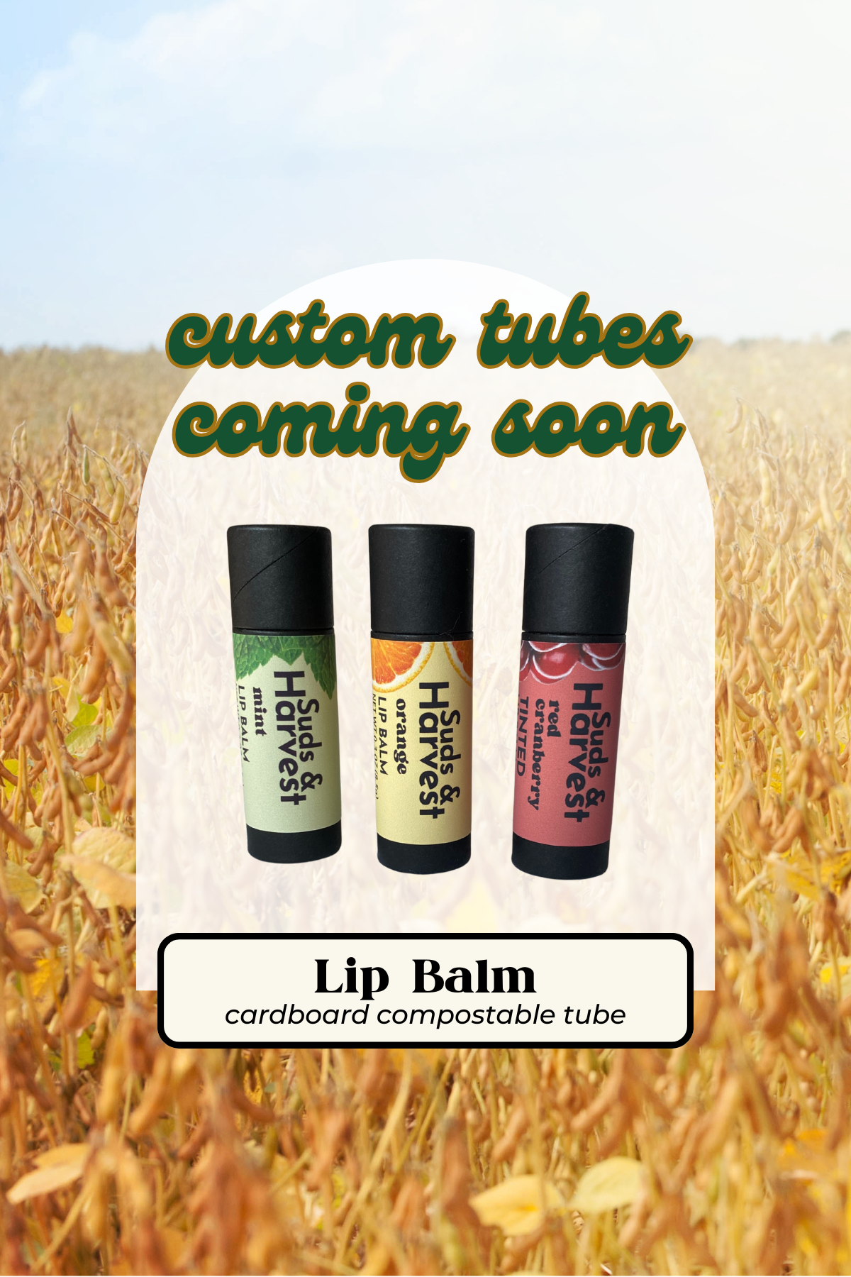 Lip Balm