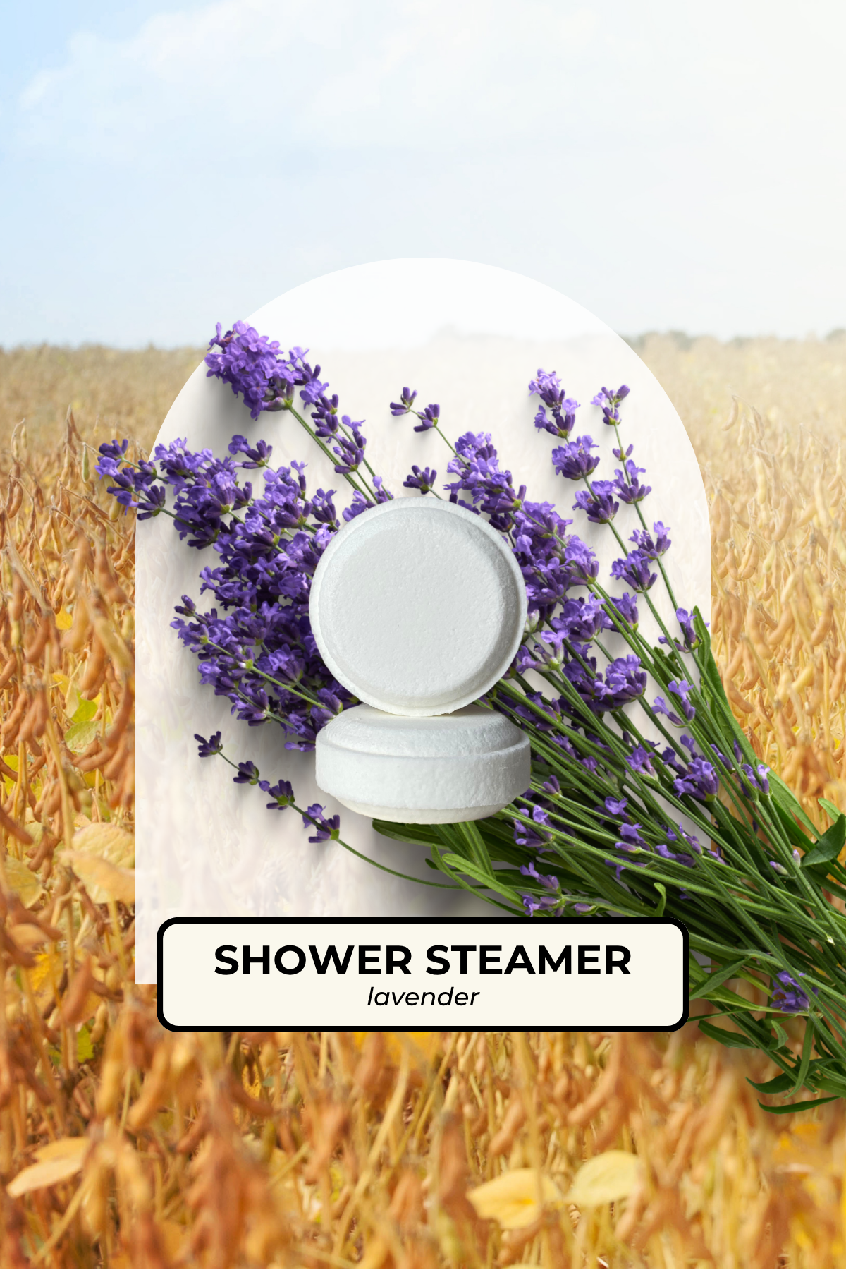 Lavender steamer.png