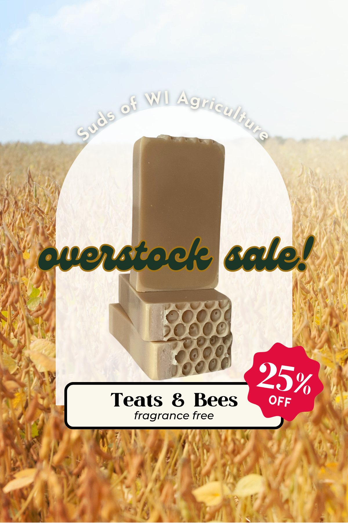 Teats & Bees Body Soap