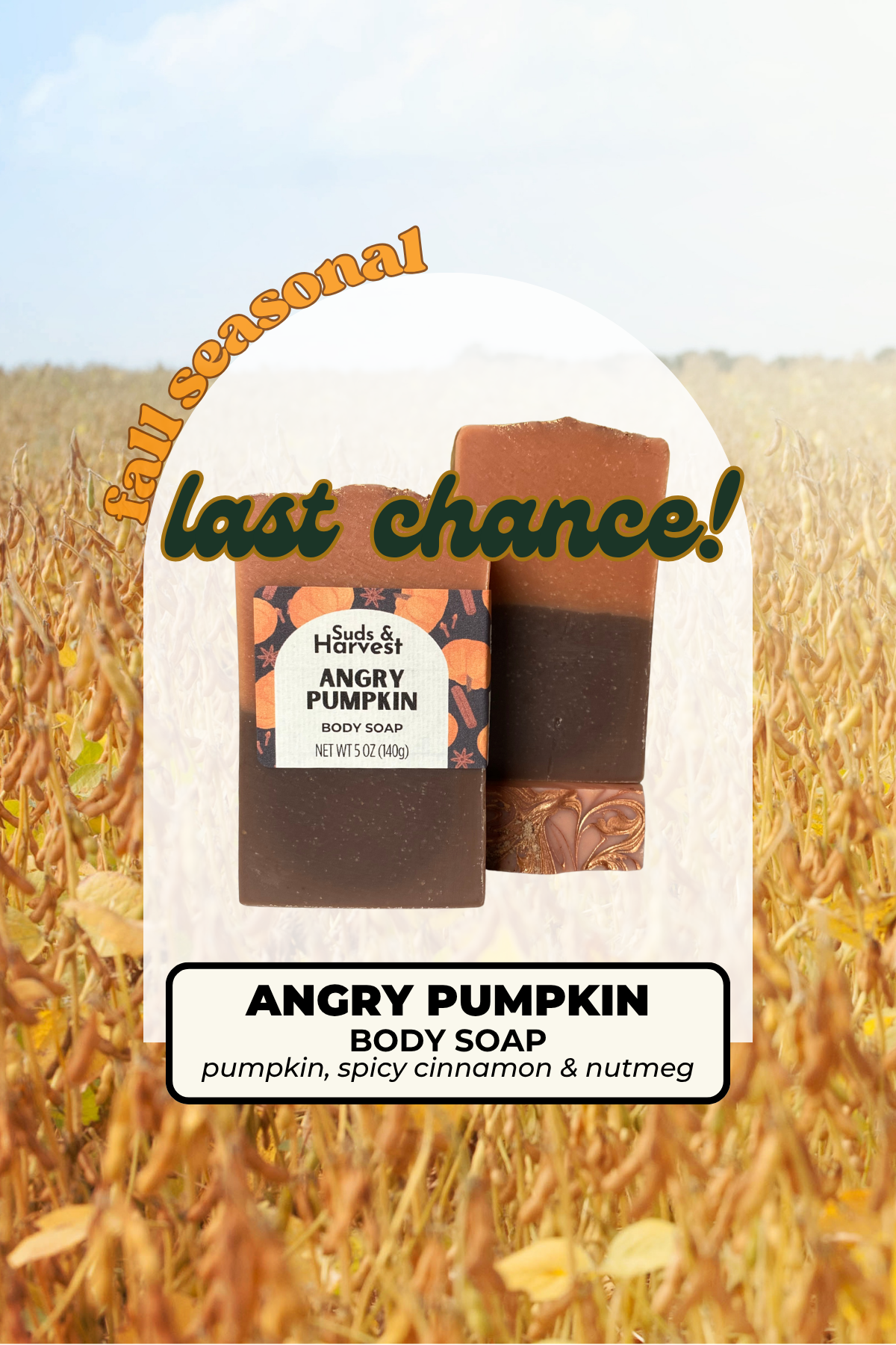Angry Pumpkin Body Soap