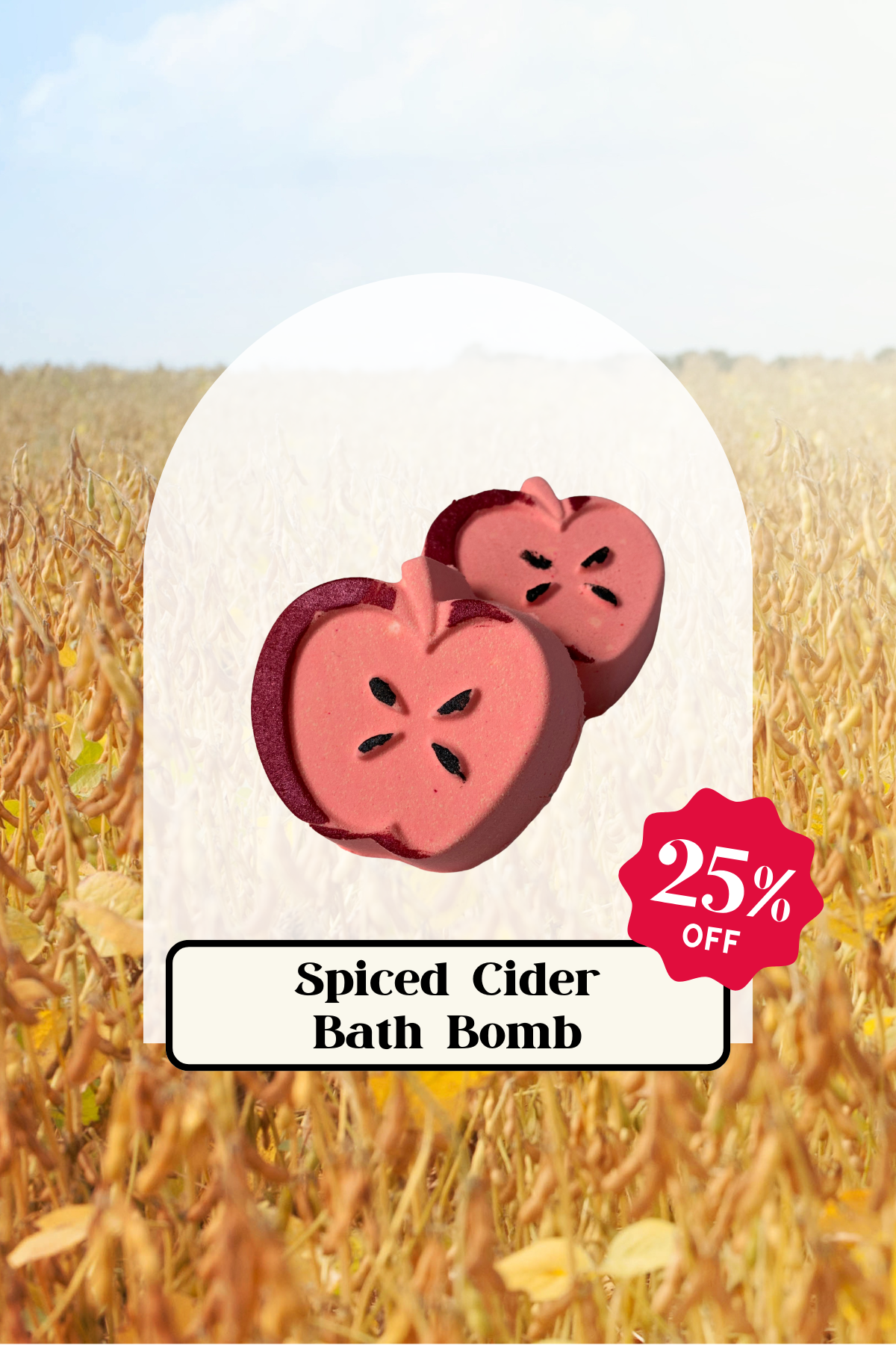 Spiced Cider Bath Bomb