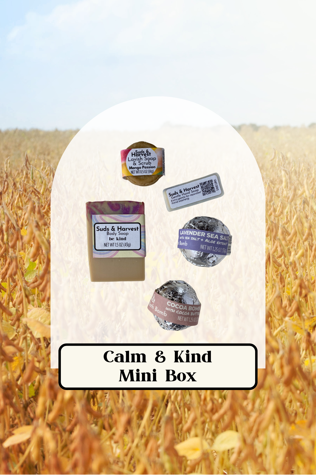 Calm & Kind Mini Box 2.png