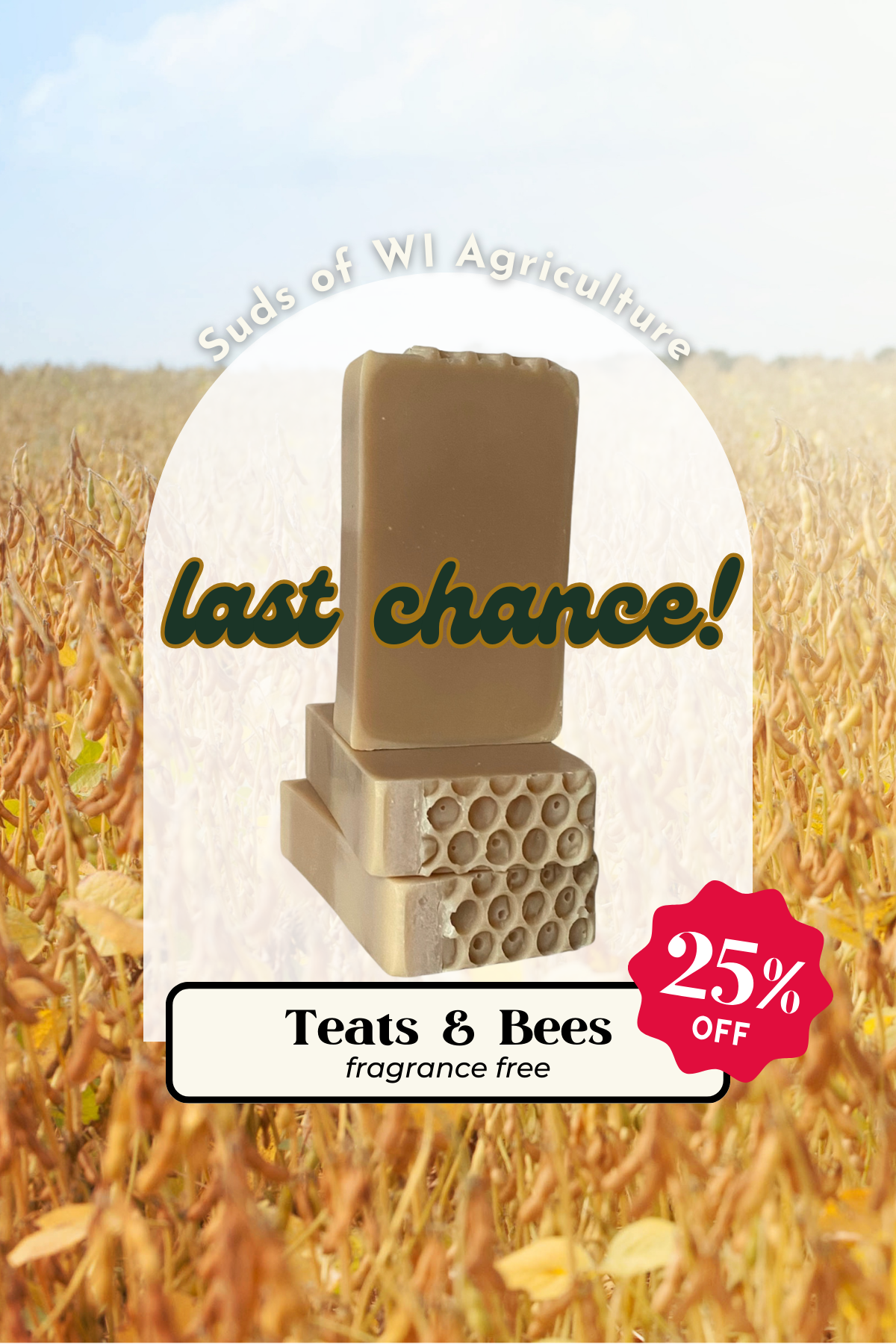 Teats & Bees Body Soap