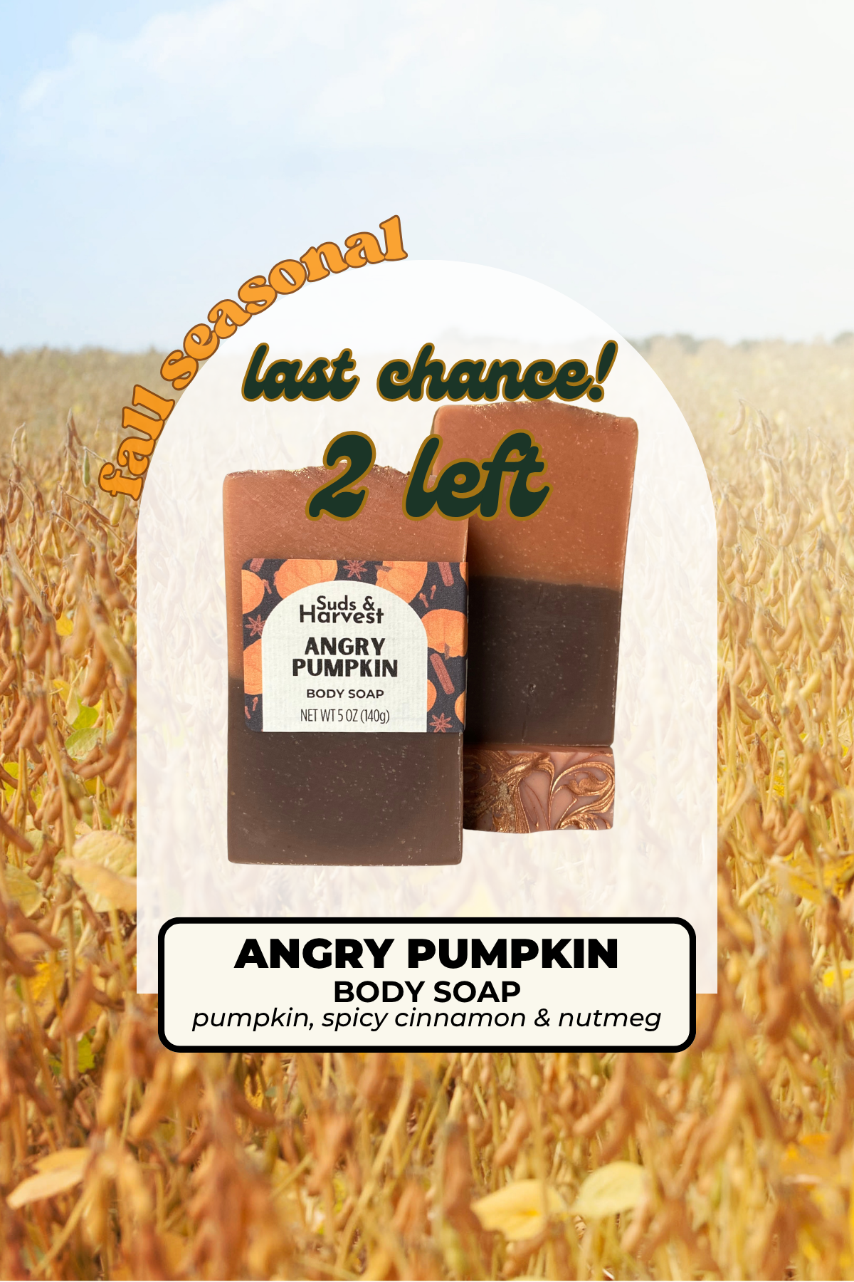 Angry Pumpkin Body Soap