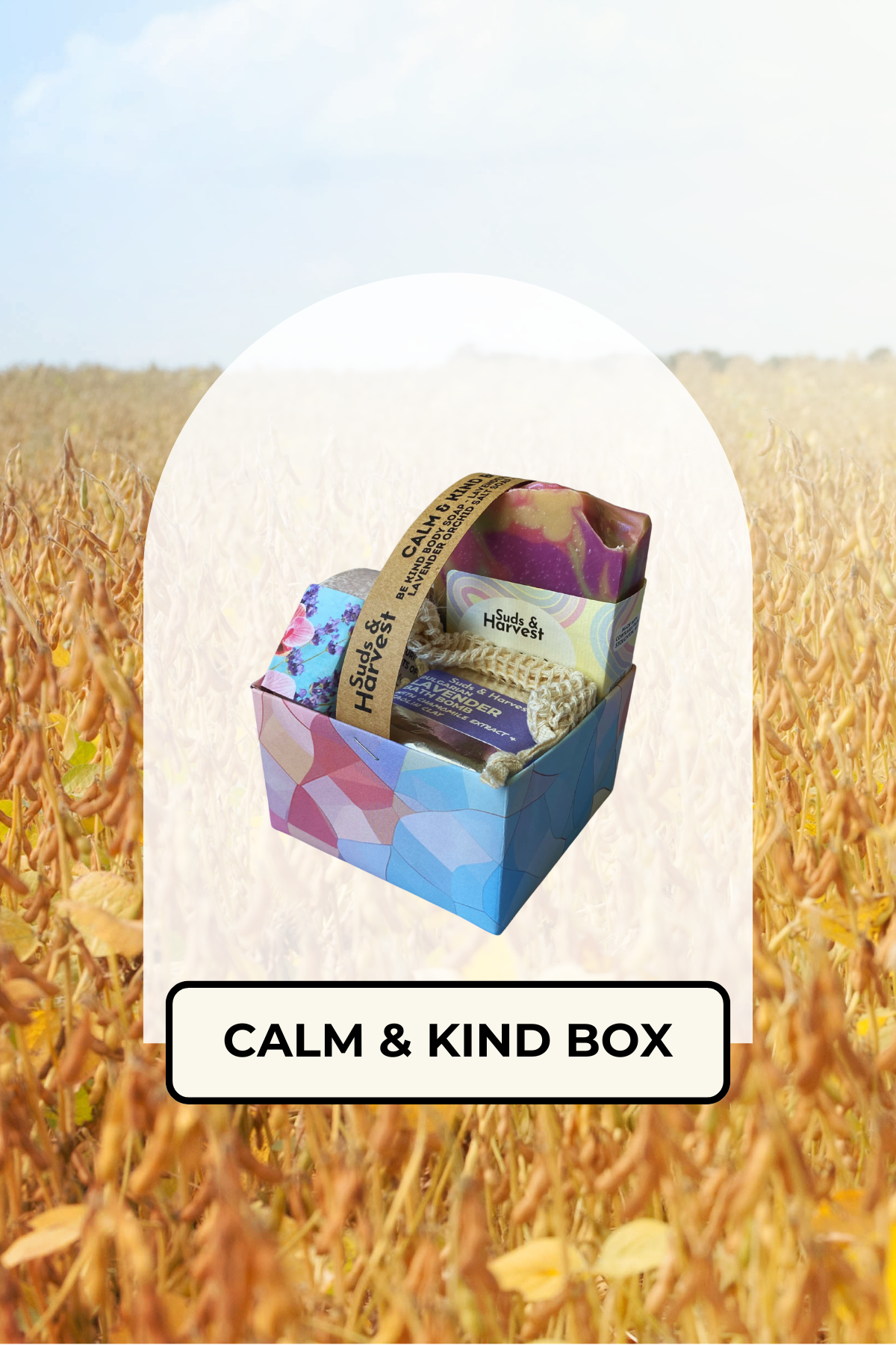 Calm & Kind Box 2.png