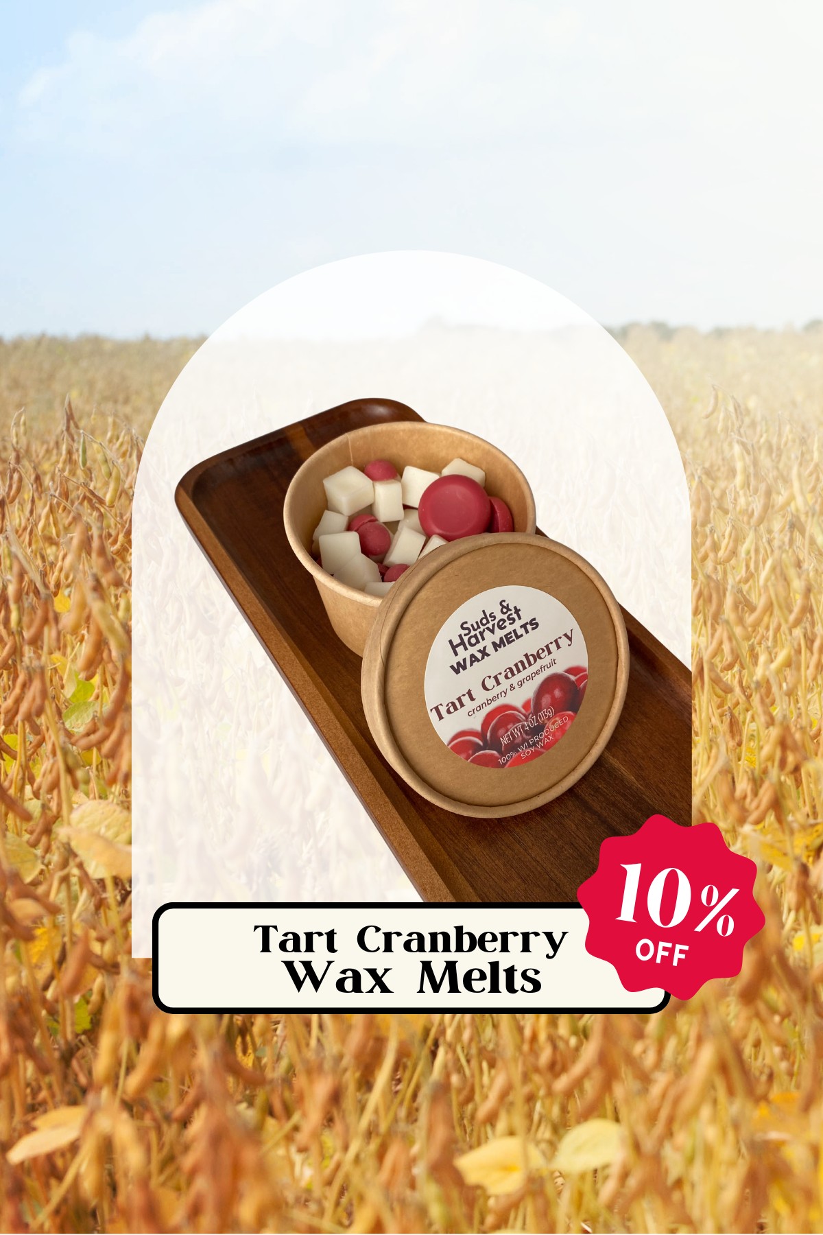 Tart Cranberry Wax Melts