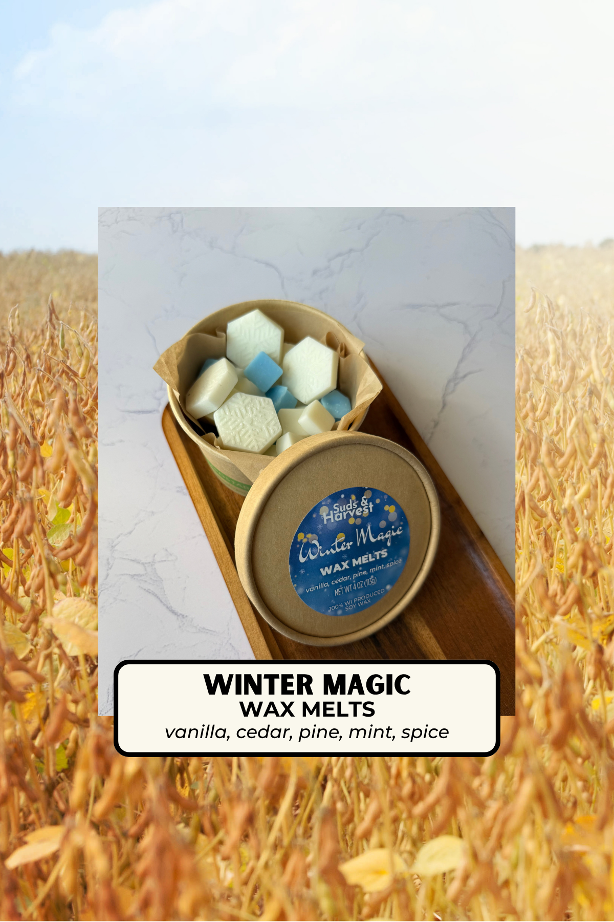 Winter Magic Wax Melts