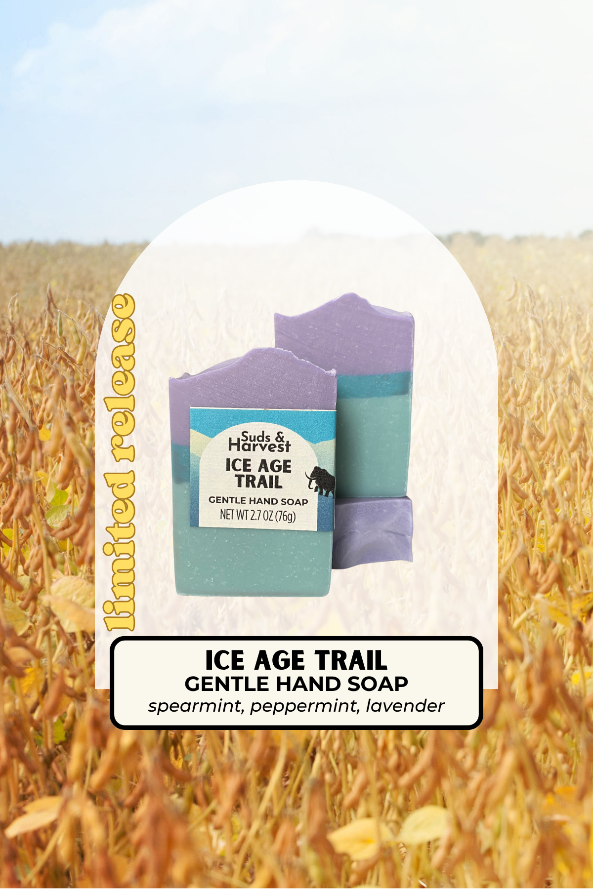 Ice Age Trail Gentle Hand Soap