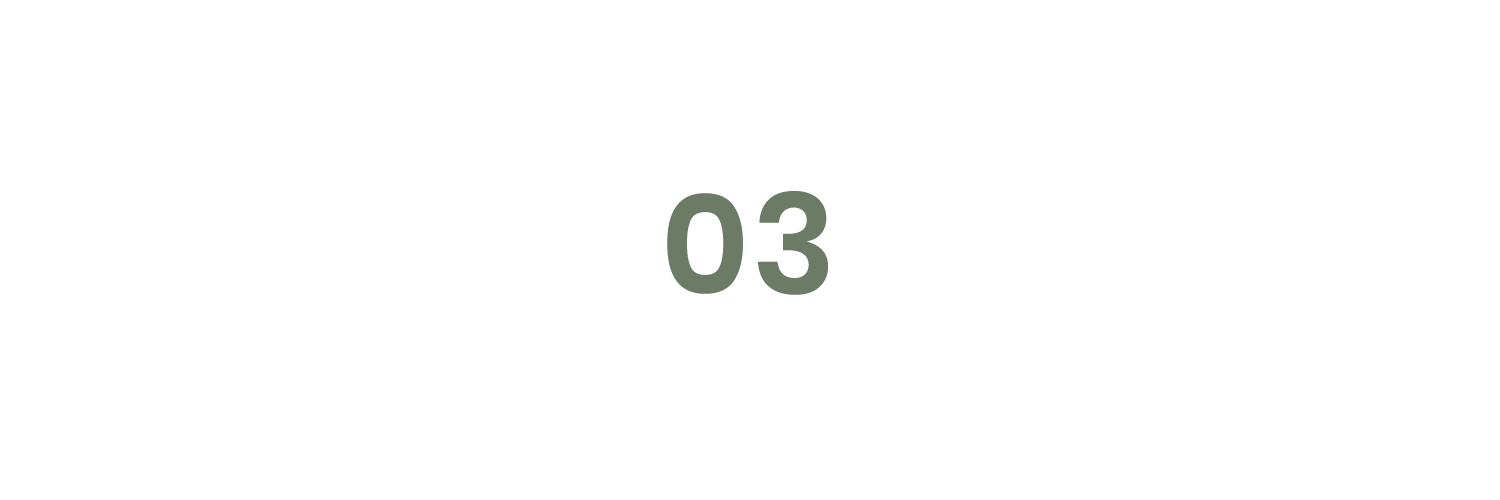 Circular graphic with the number 03 in the center